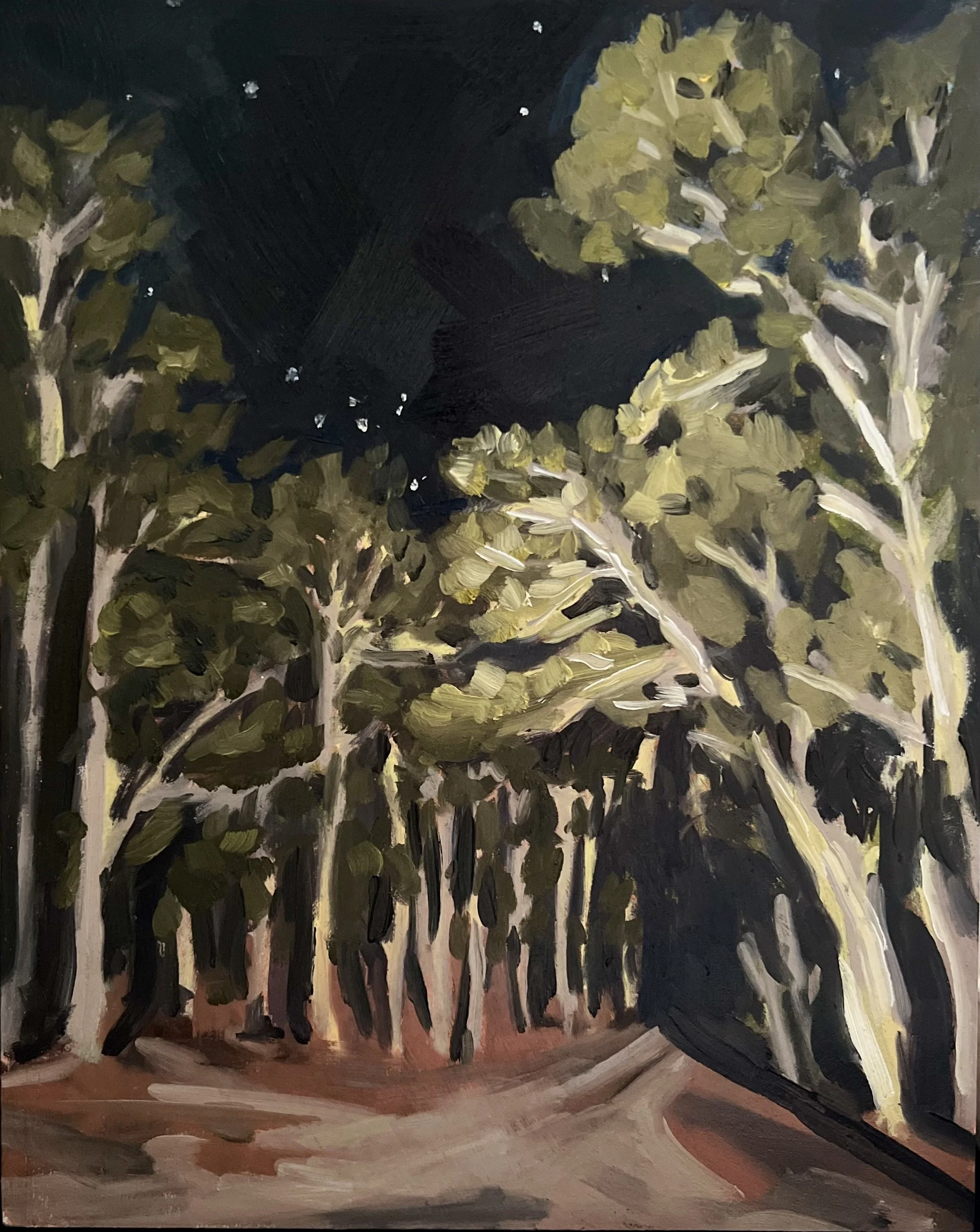 Clear Night Path - Caroline Carney