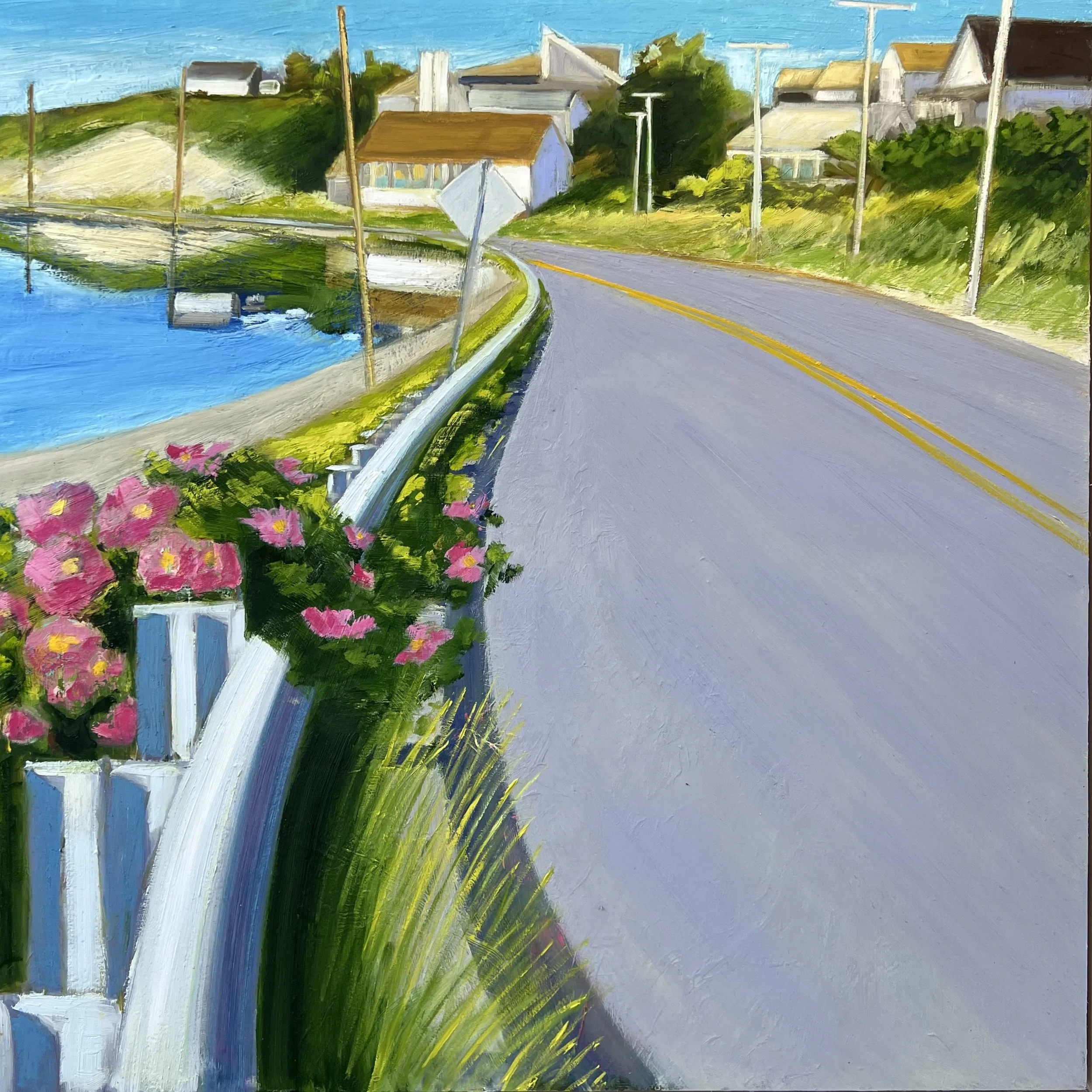 Provincelands Road - Pete Hocking