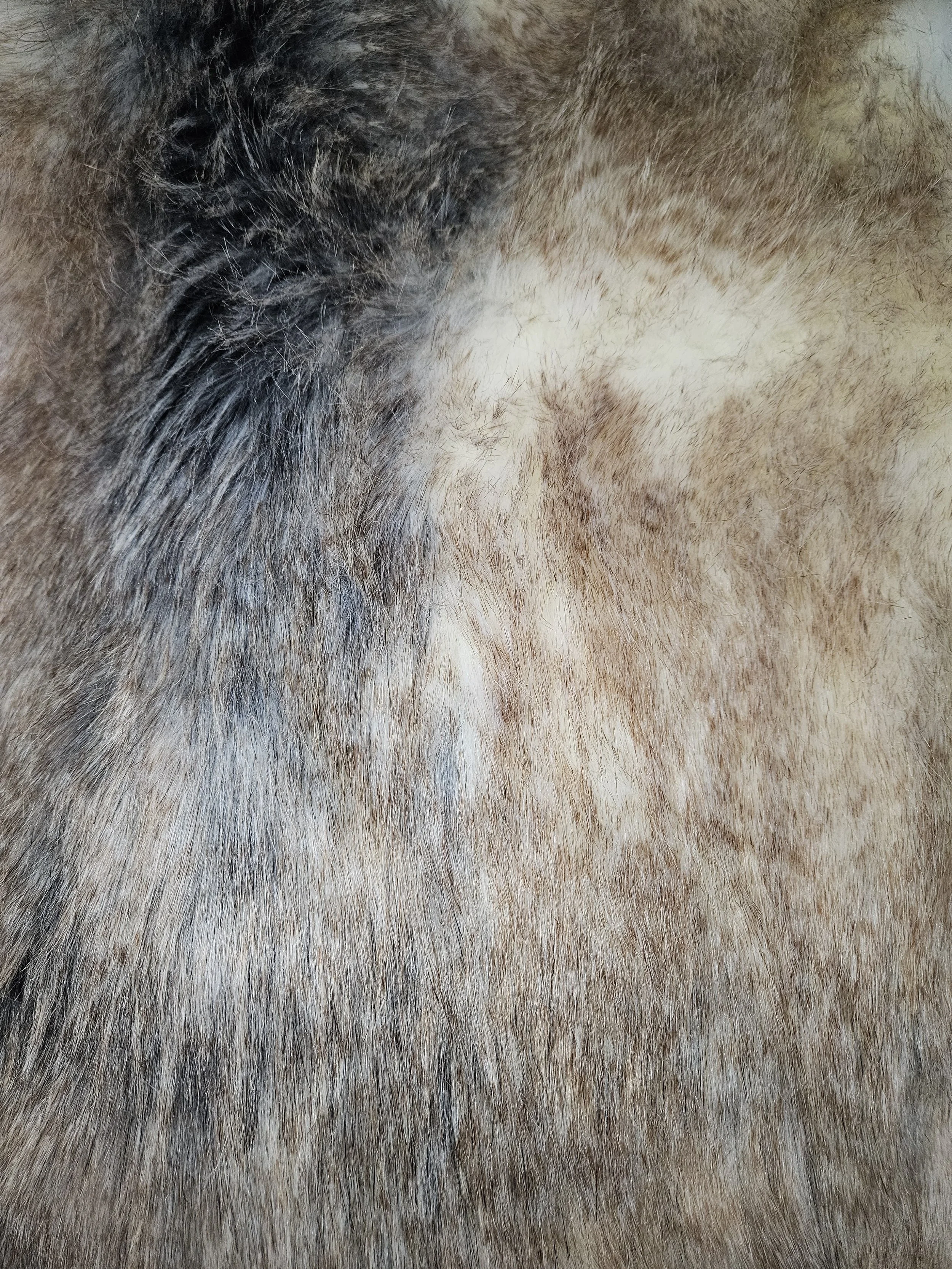 Mixed Browns and Cream