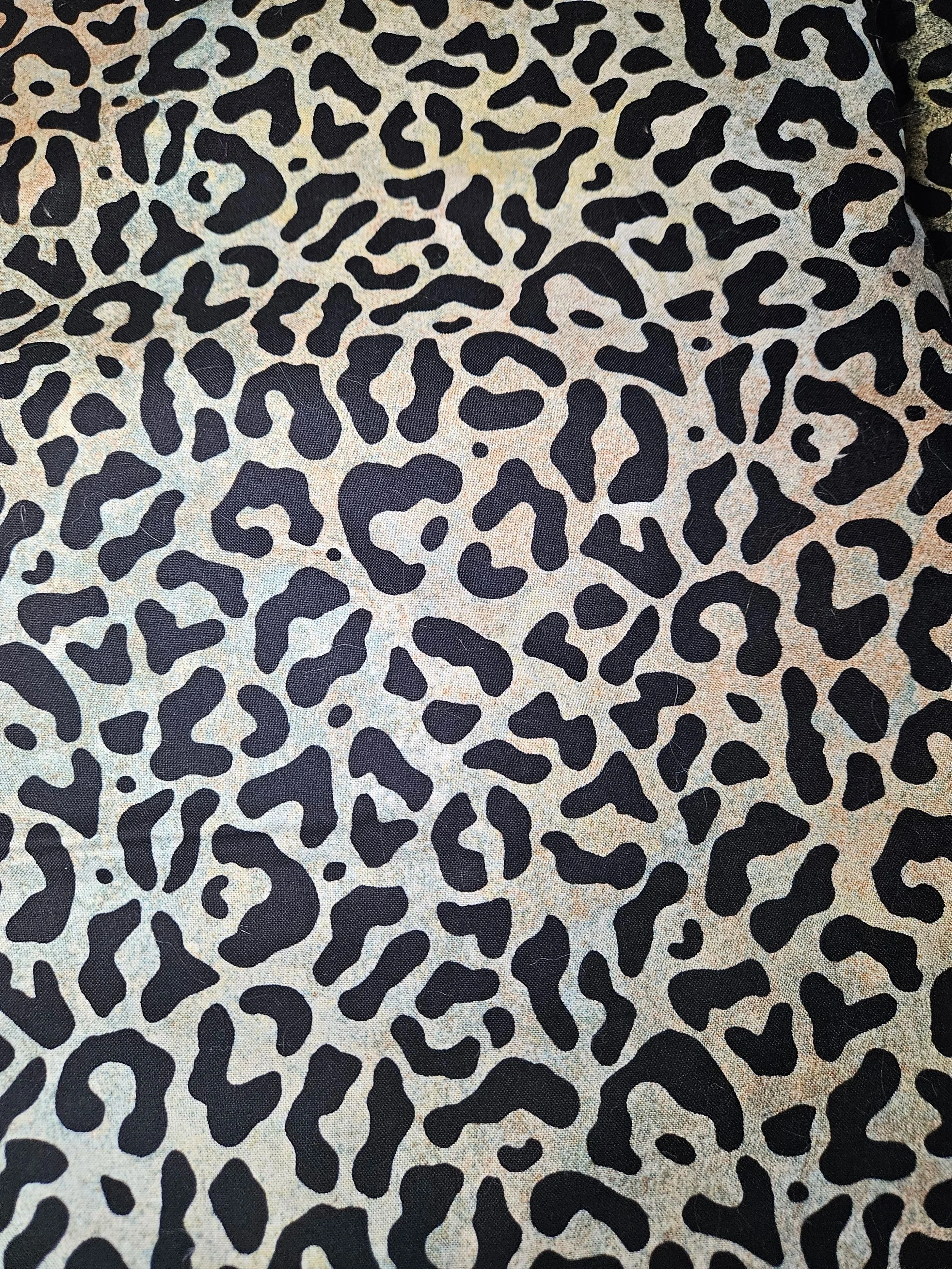 Grey and Black Cheetah