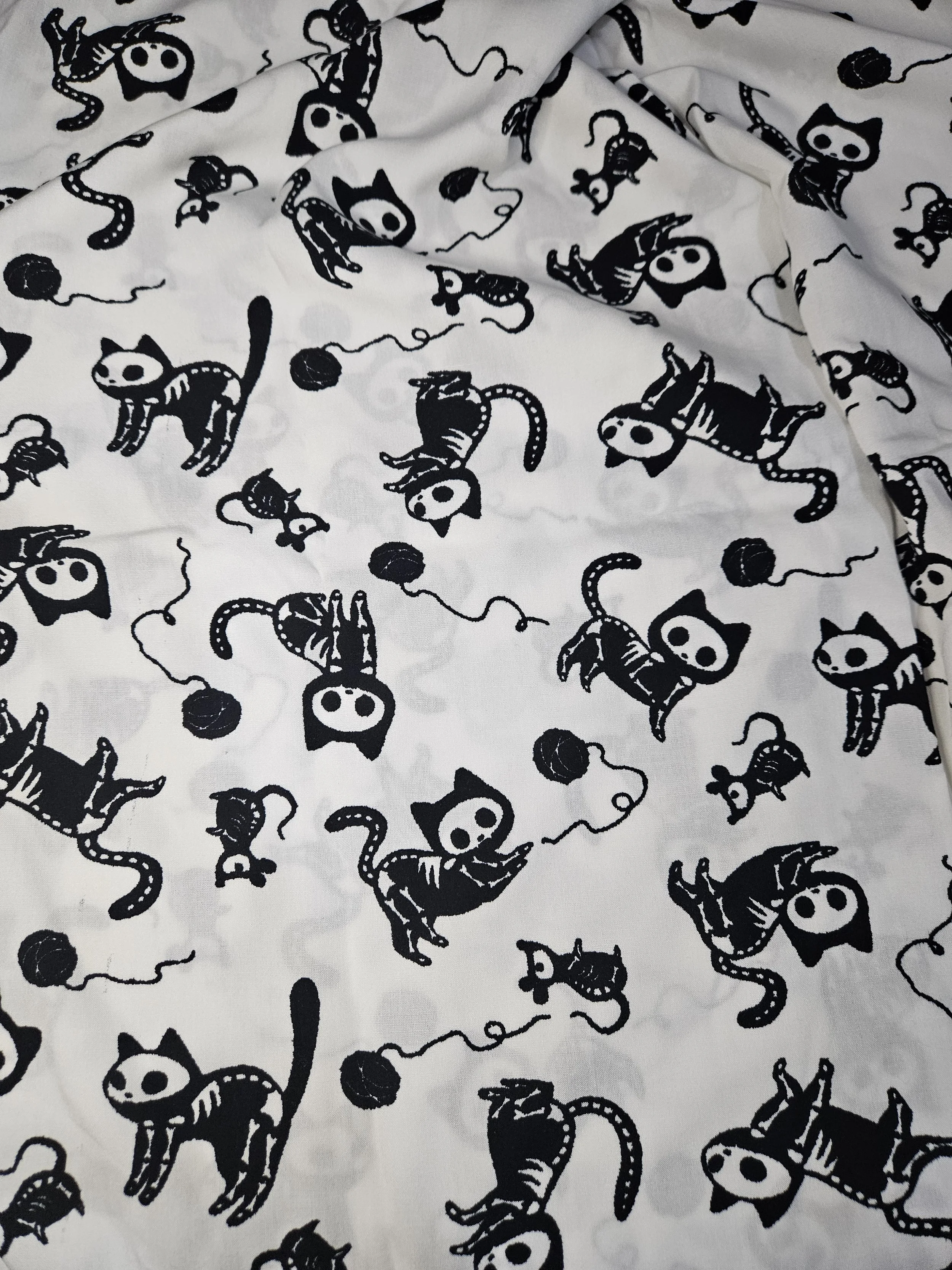 Skelly Kittens