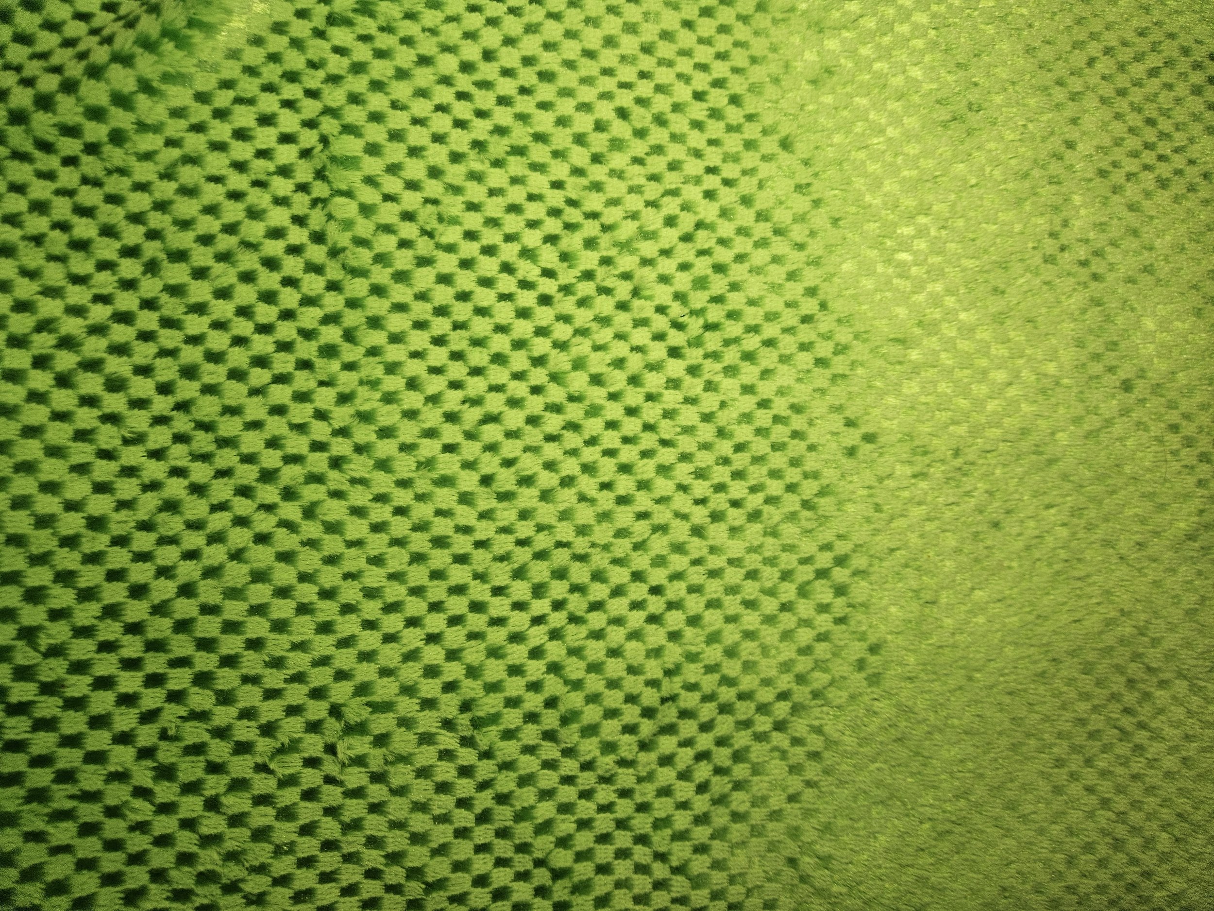 Thick Plush Green Checkered