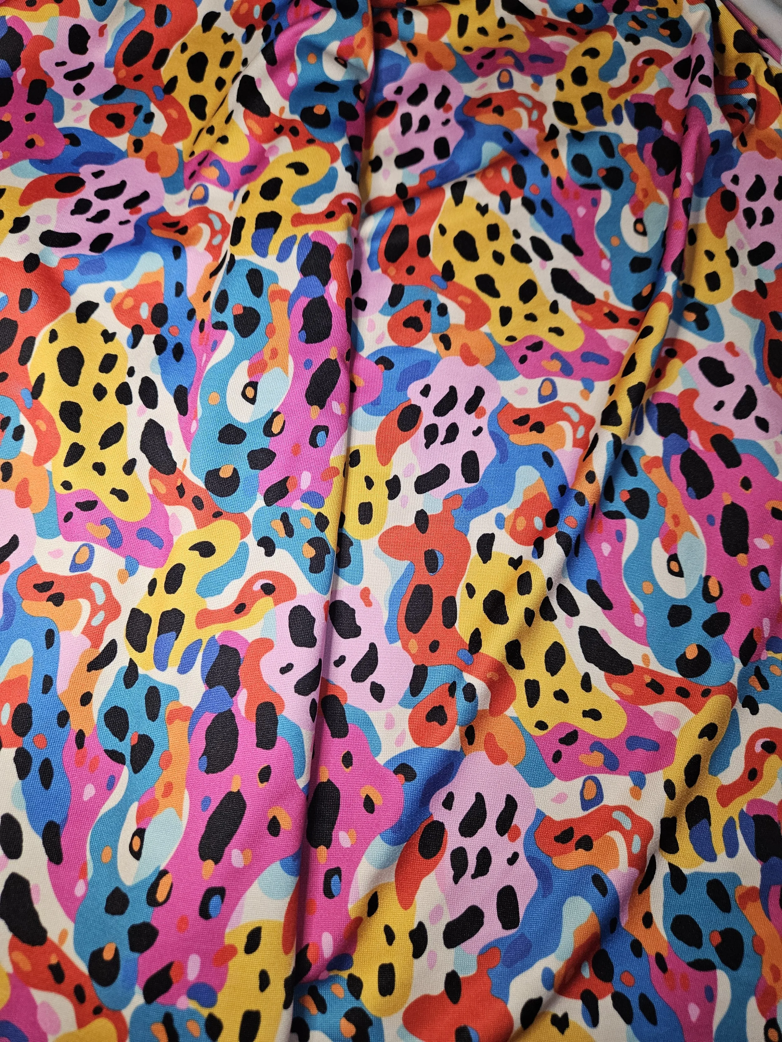 Rainbow Dalmatian 
