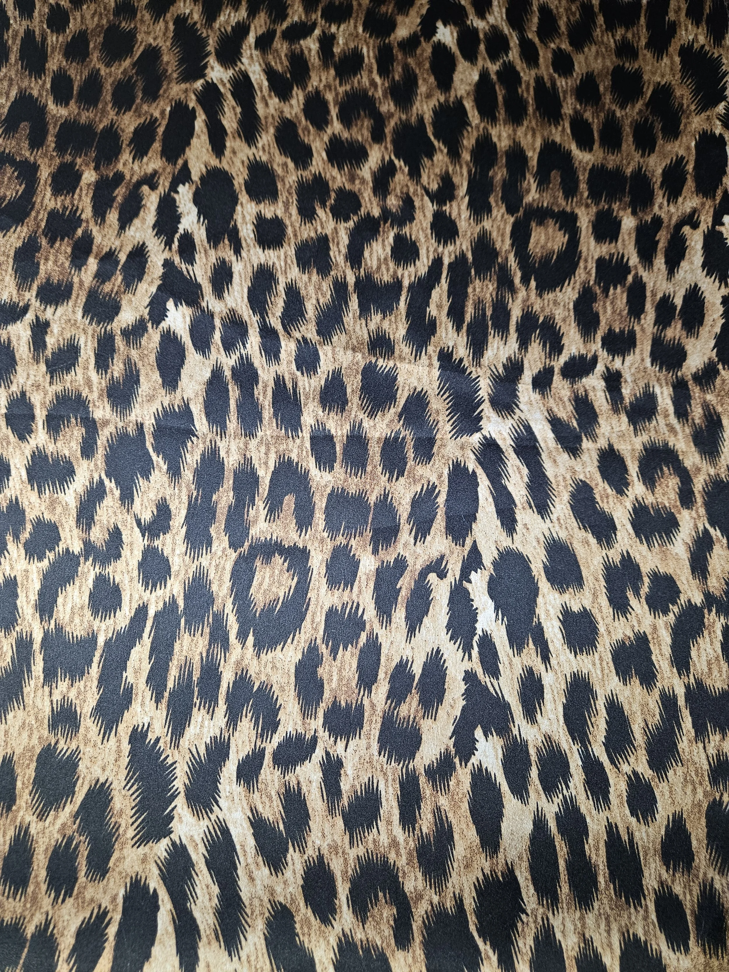 Leopard 1
