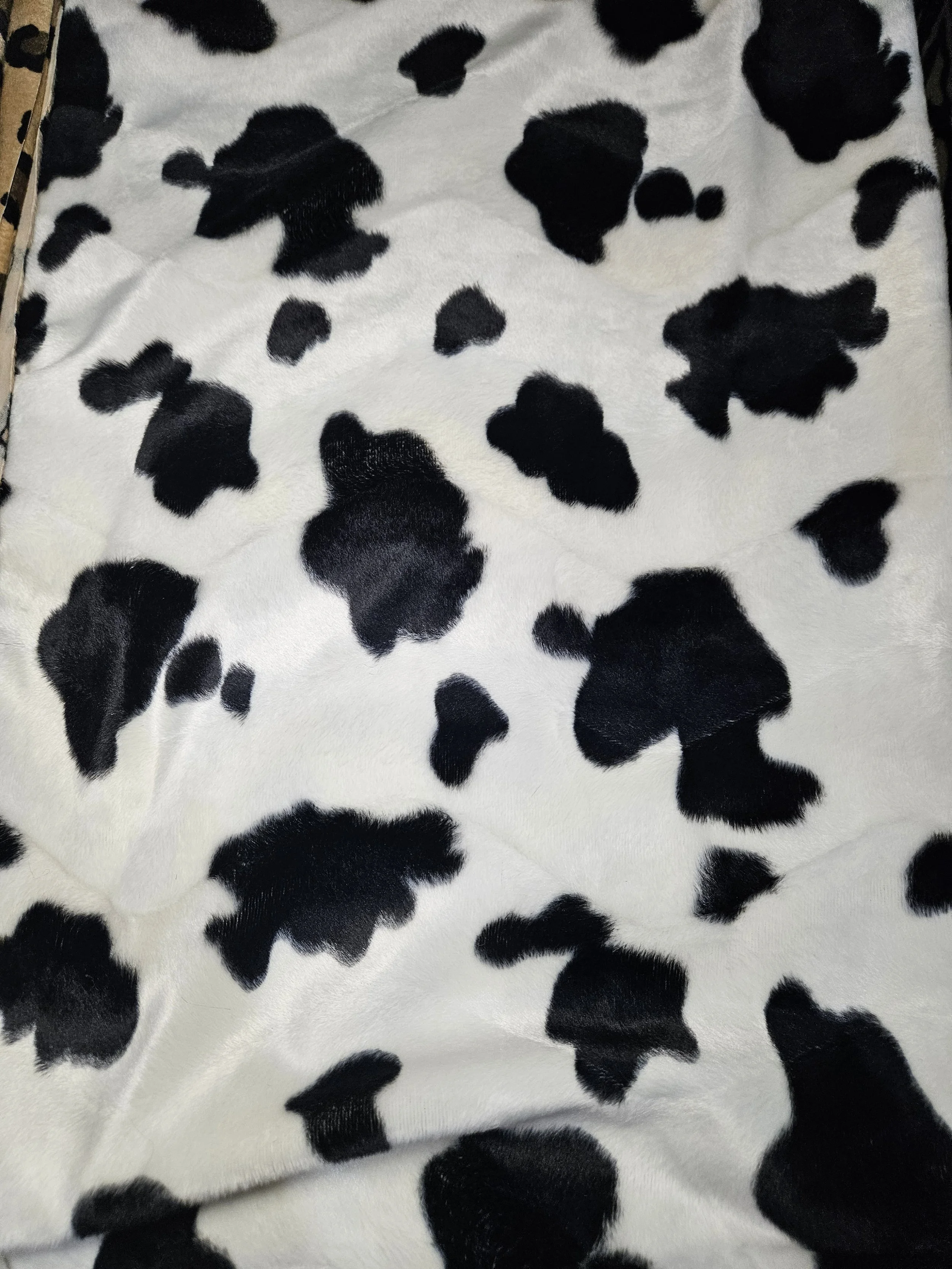 Cow Velvet Print