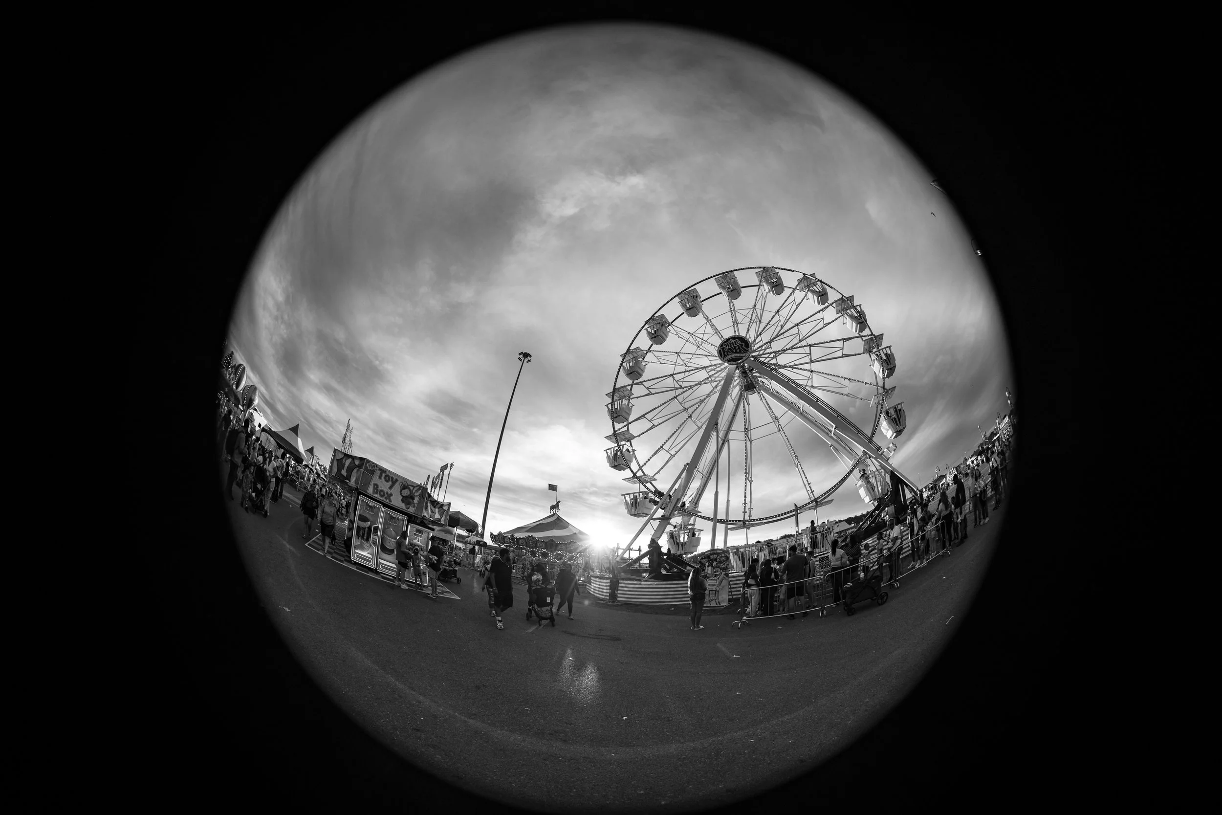 20260907_WILLIAMS_ISAAC_NYSFAIR_0005.jpg