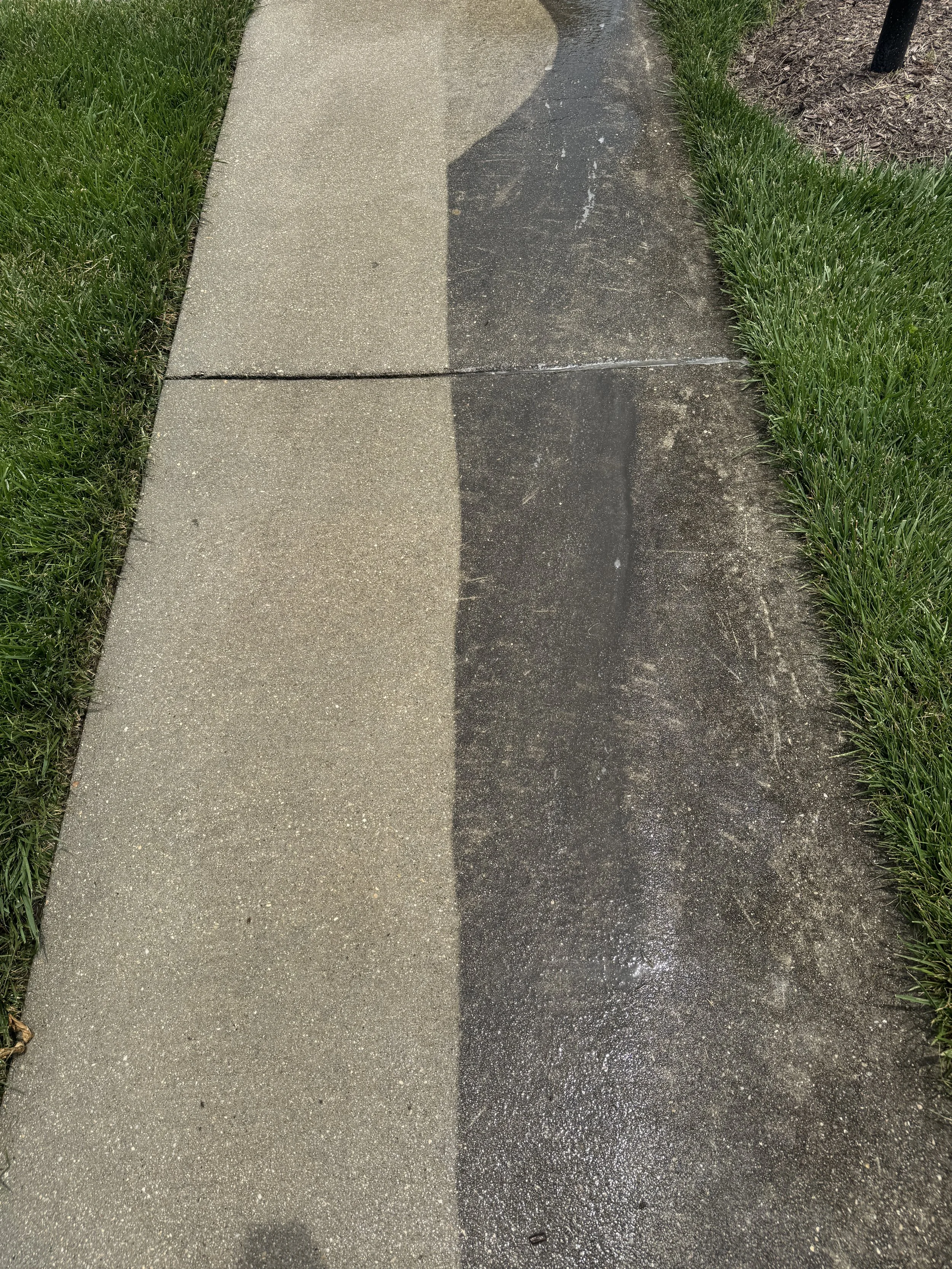 A sidewalk with half of it wet and the other half dry, bordered by green grass on both sides.