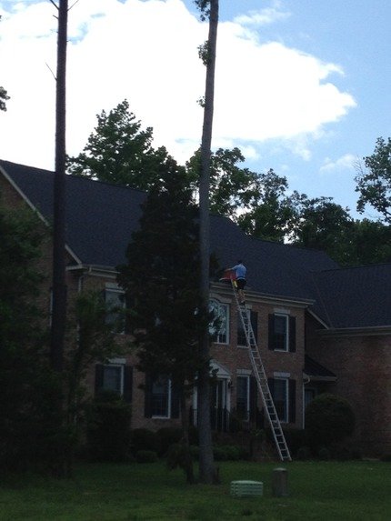 A person on a ladder trimming a tall tree in front of a two-story house with a dark roof and brick exterior, with trees and a partly cloudy sky in the background.