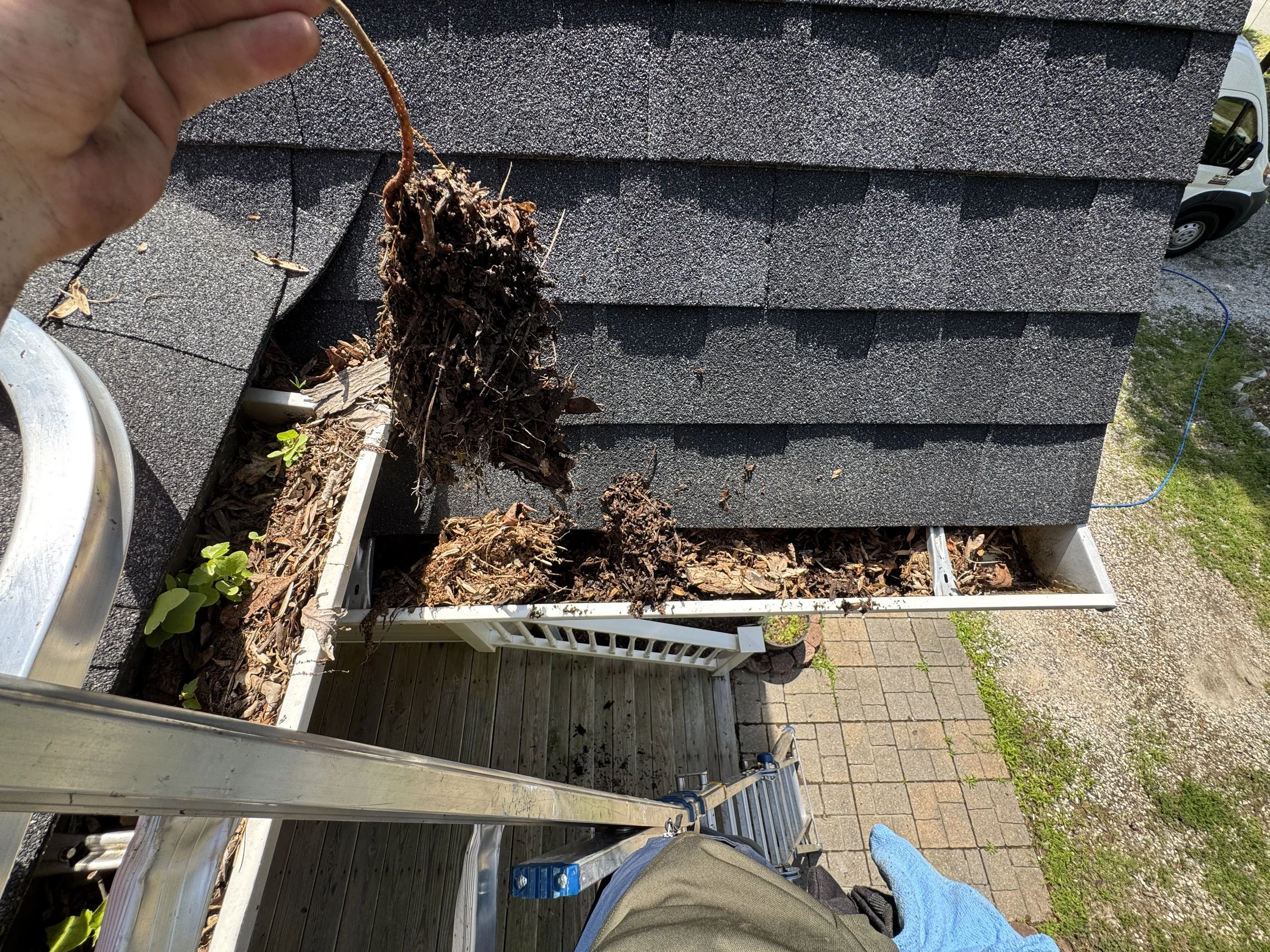 A person holding a root or plant with dirt on it, standing outside on a roof with asphalt shingles, a white railing, and a brick patio with grass and a white van in the background.