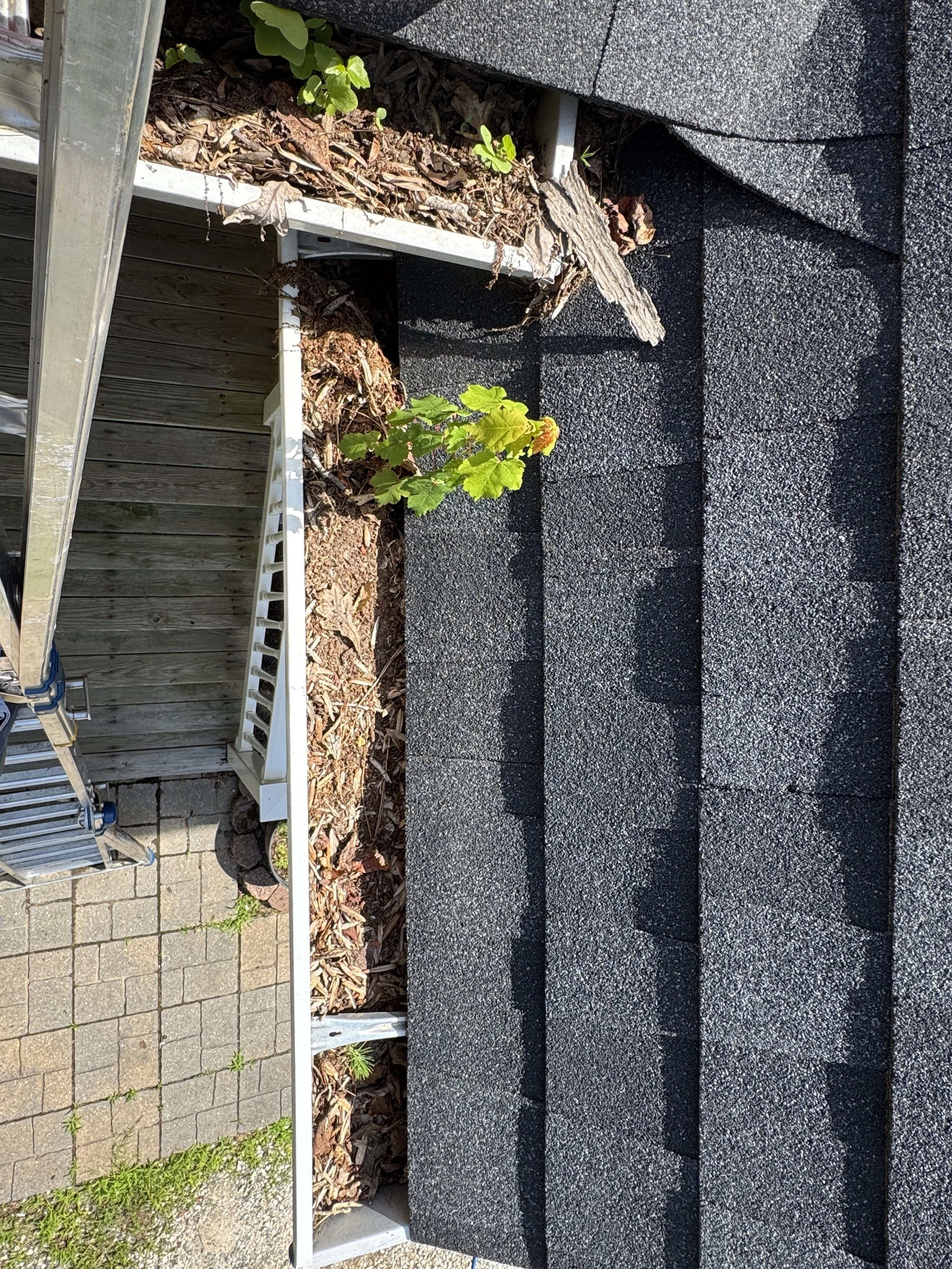 View of outdoor stairs with black textured surface, leading upward. Some greenery and small plants are visible at the top, alongside a section of wooden fencing and a metal ladder on the left side. The bottom has leaf debris on the soil and concrete pavers.