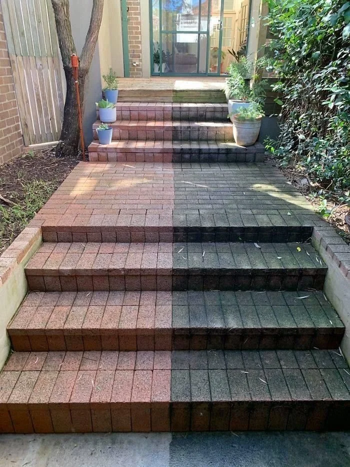 Outdoor brick staircase leading to a screened porch, with potted plants on either side.
