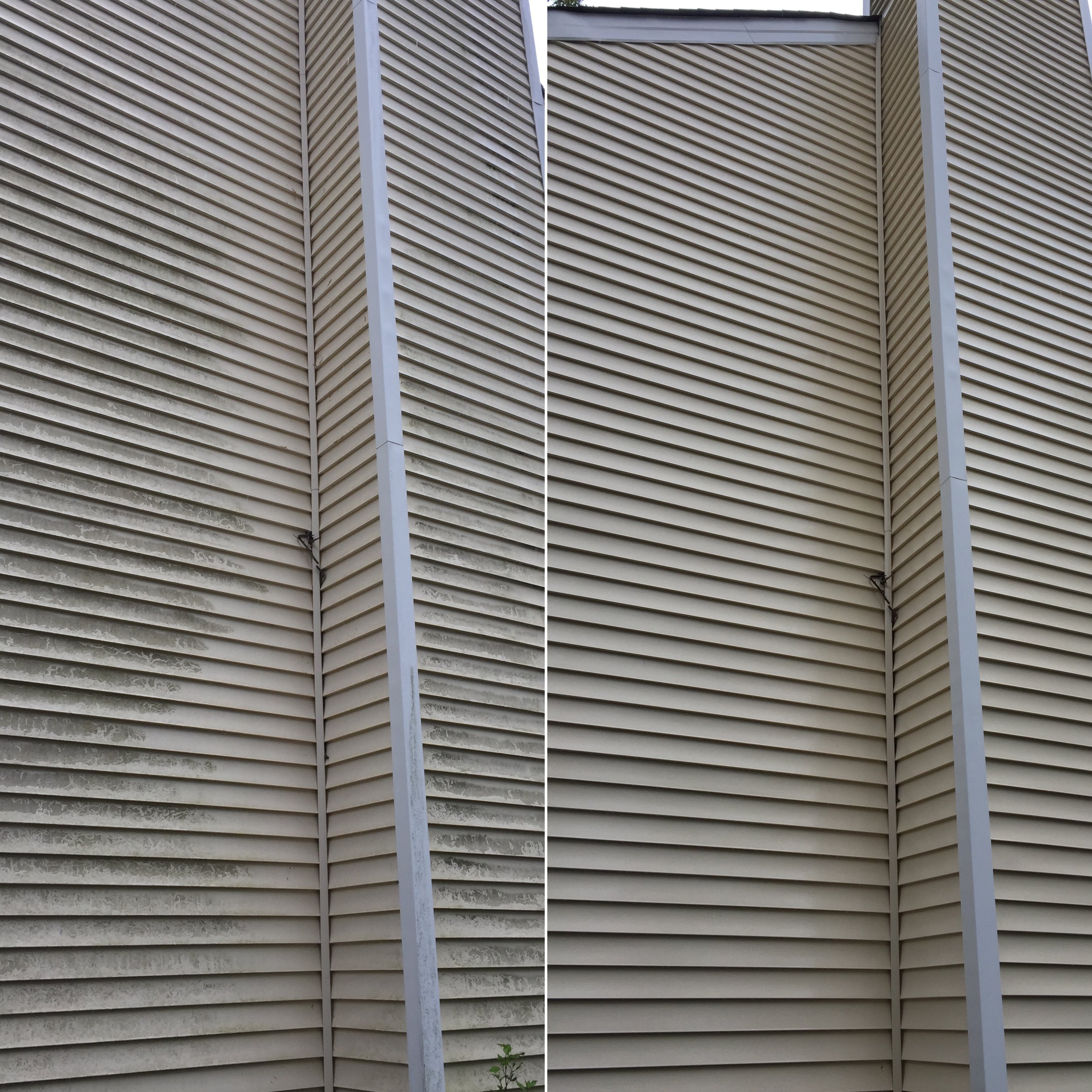 Close-up of beige vinyl siding on a building with metal framing, showing a section of the wall and some small plants at the bottom.