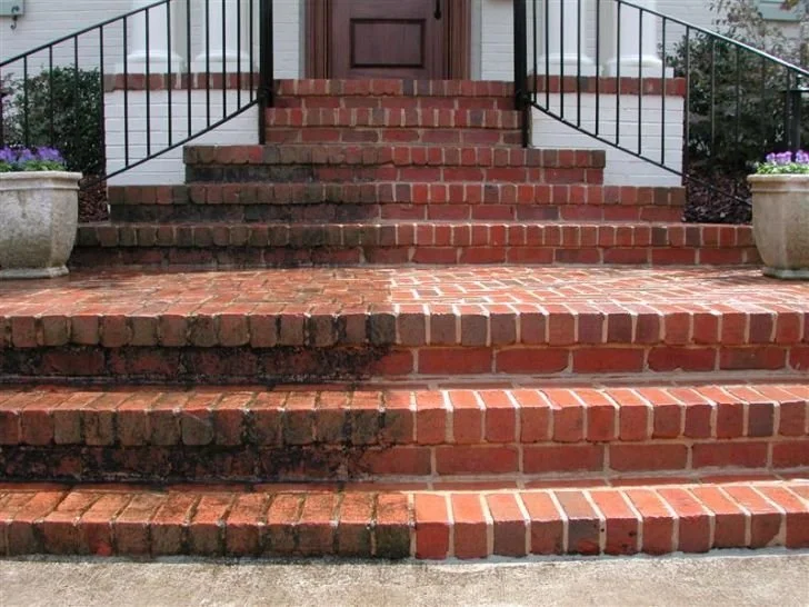 Front brick stairs leading up to a porch with a wooden door, flanked by large planter pots with flowers.