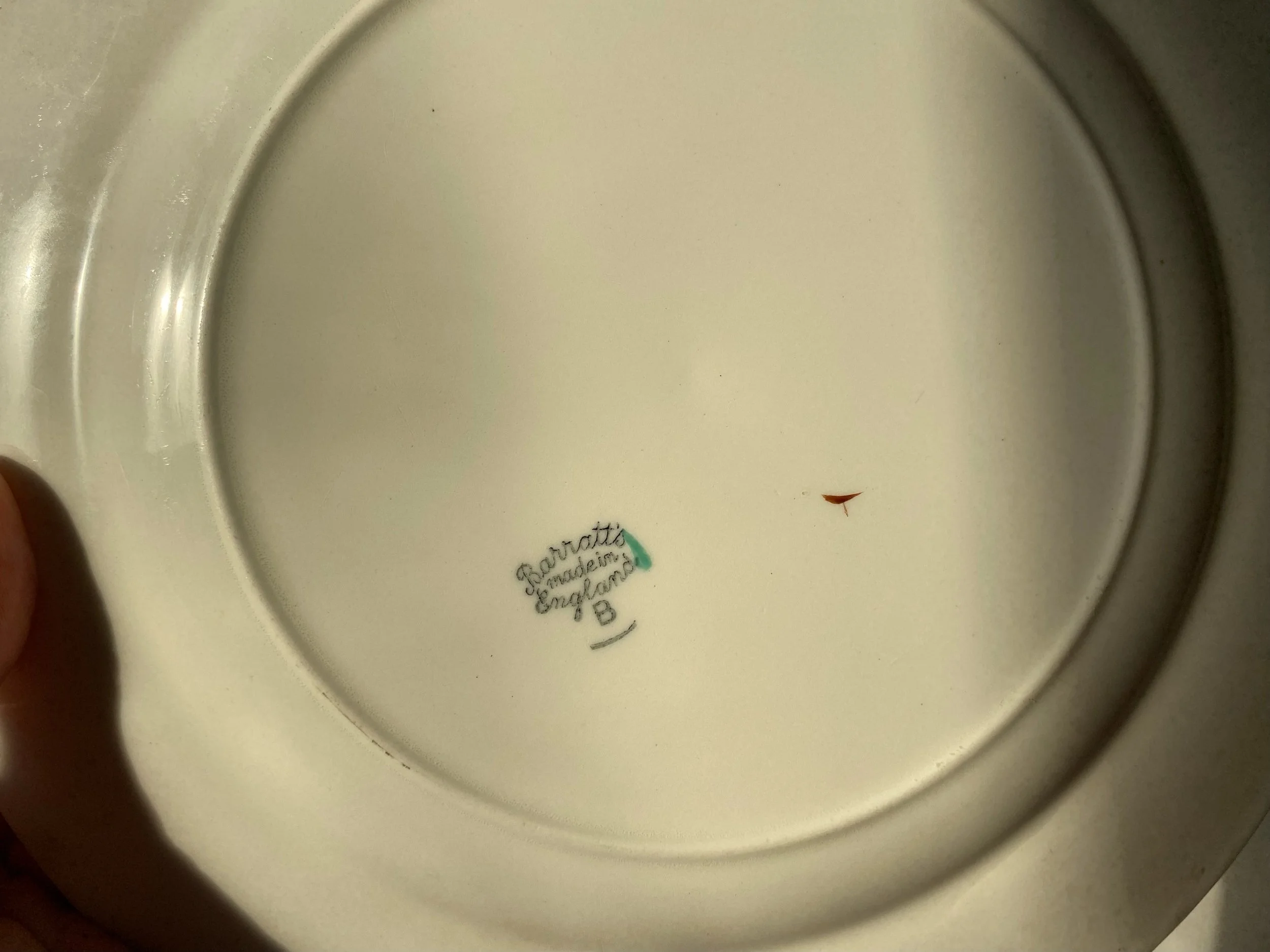 IMG_0505.jpeg