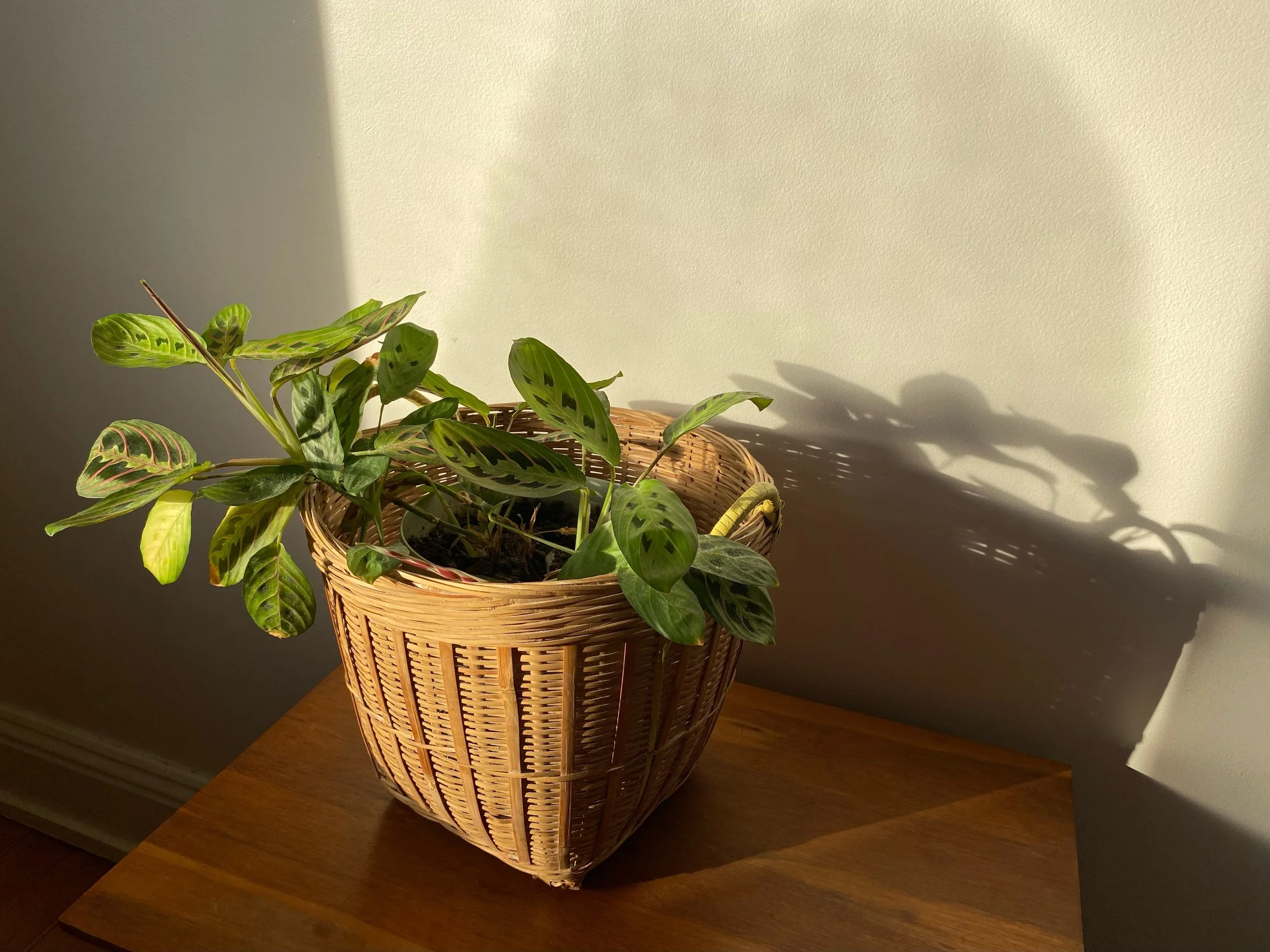 Vintage Basket With Yellow Handles