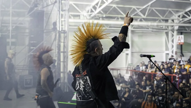 The Casualties