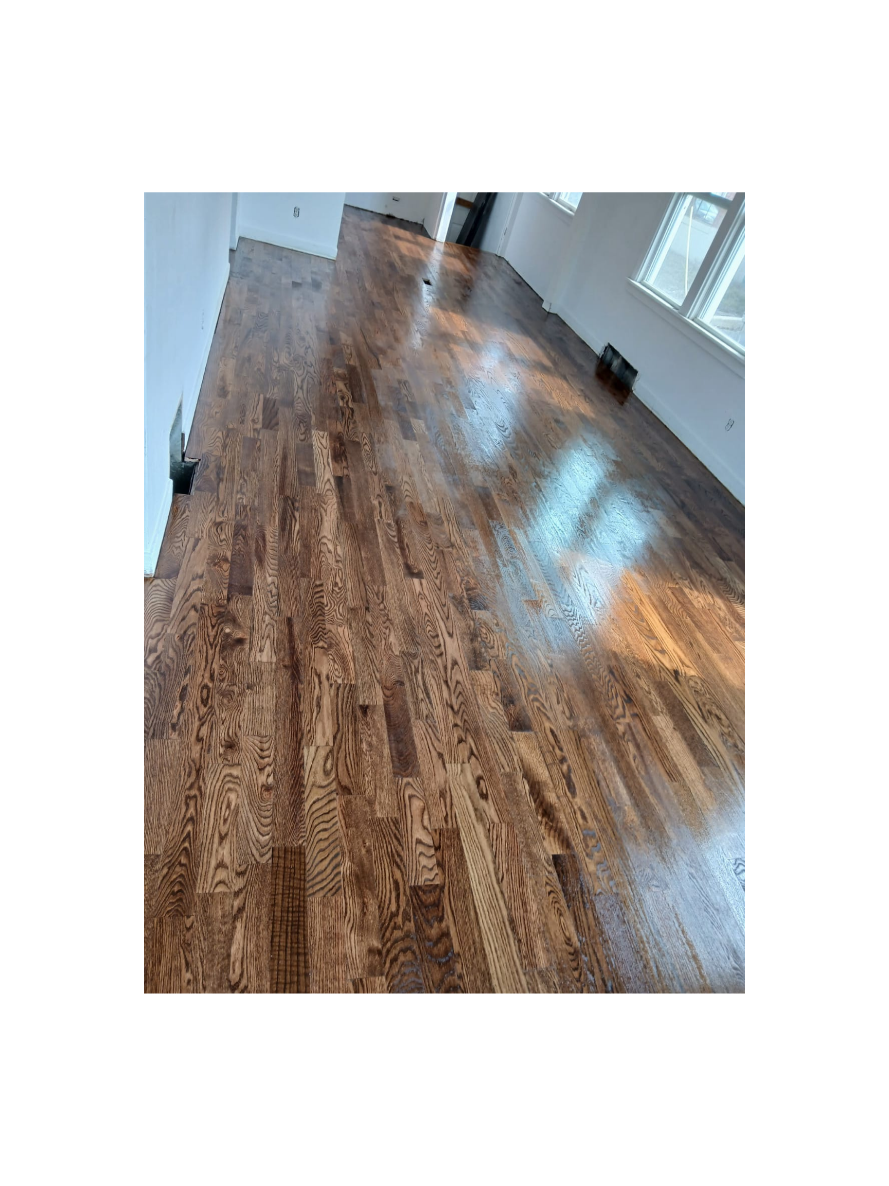 Freshly refinished hardwood floor in a bright, empty room with white walls and large windows.