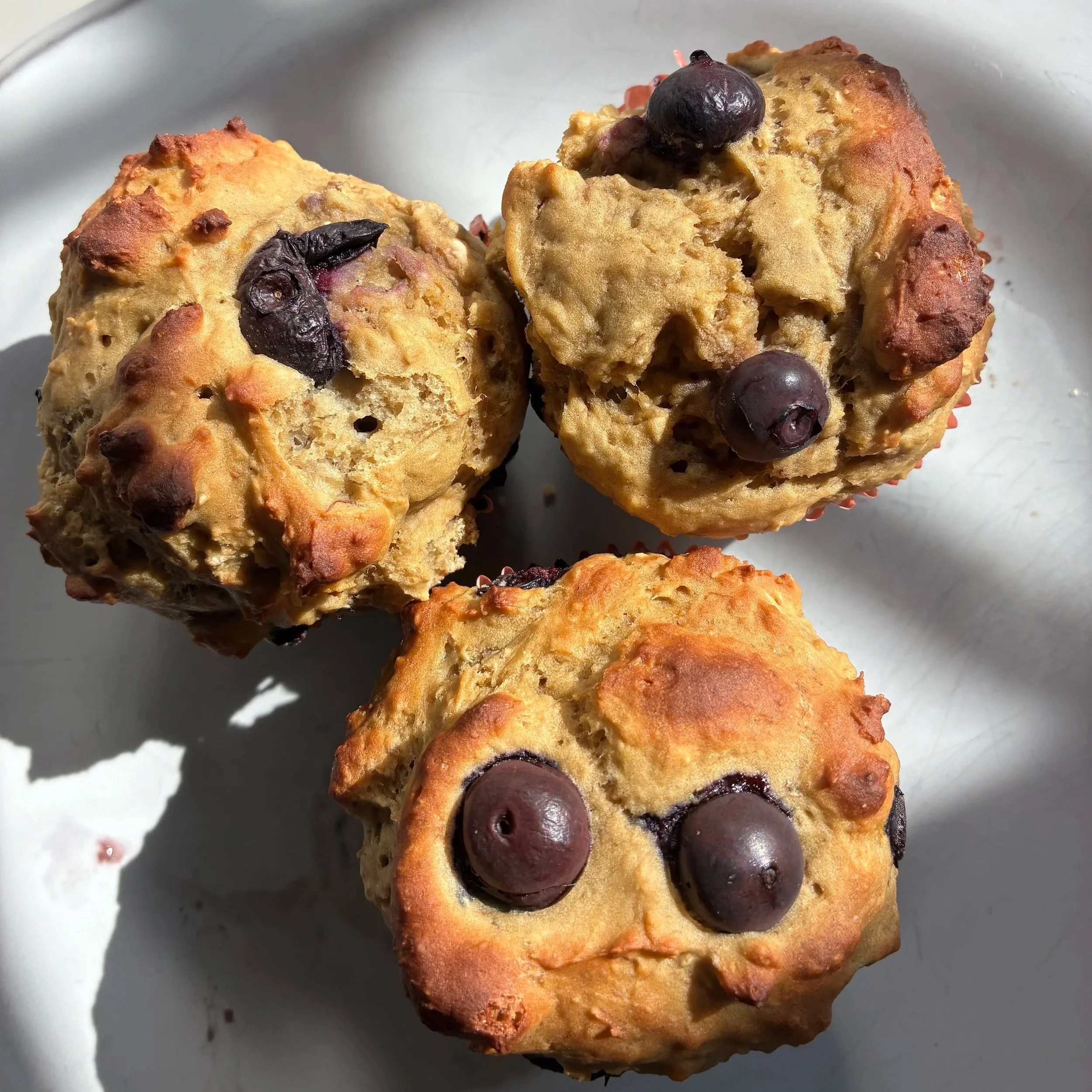 Lemon Blueberry Protein Muffins