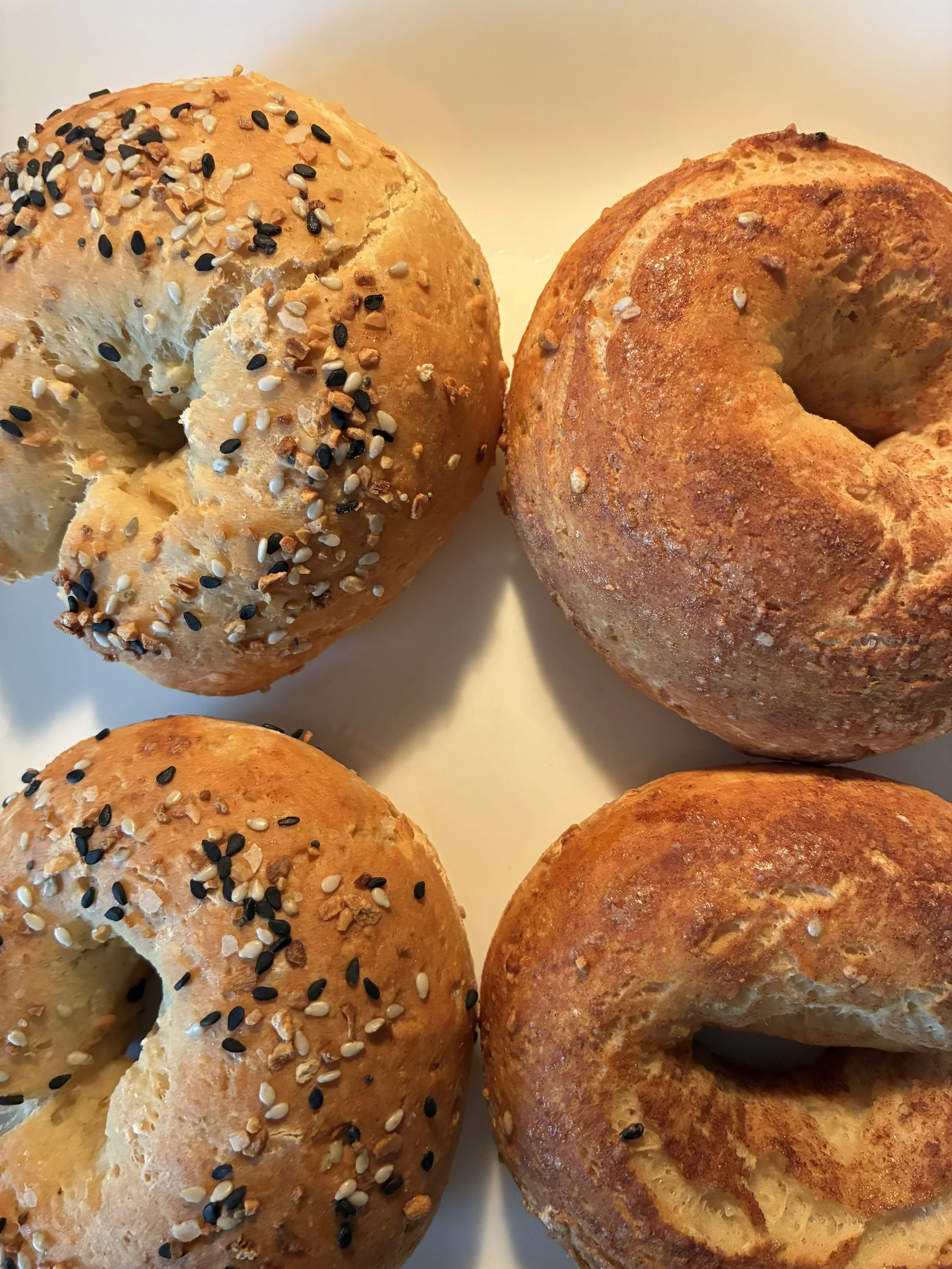 High Protein Bagels 