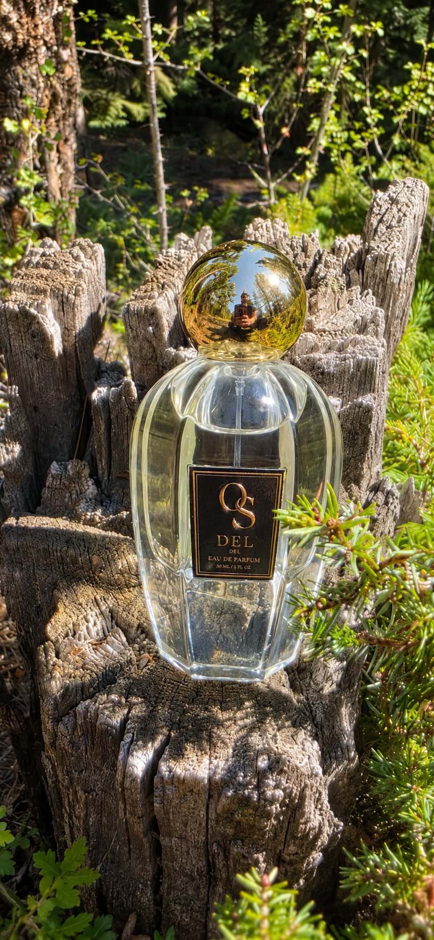 DEL 50ML Available Sept 1st