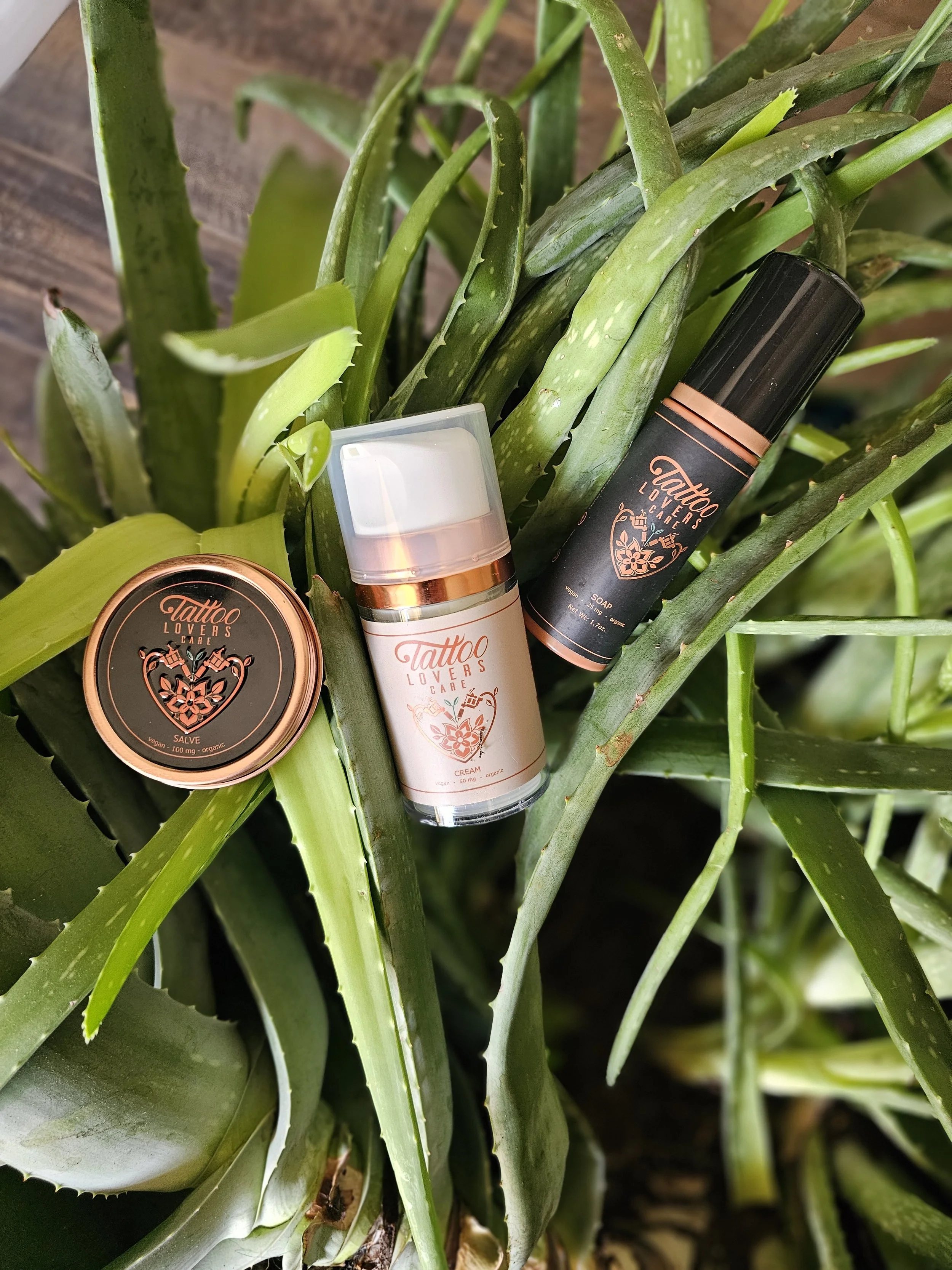 Three tattoo care products, including a salve, a cream, and a soap, resting on green aloe vera and succulent plants.