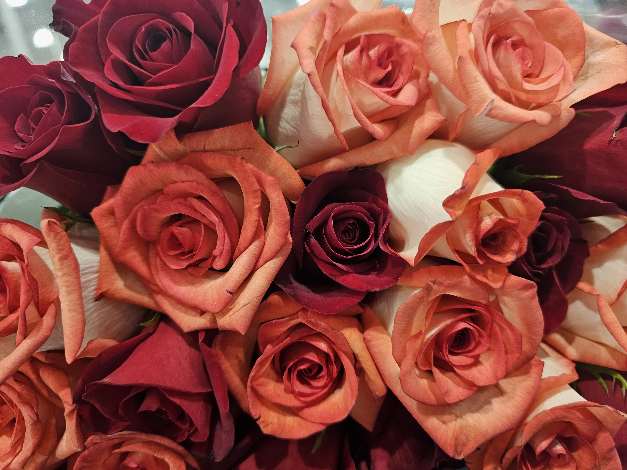 A close-up view of a bouquet of roses in shades of dark red, peach, and cream.