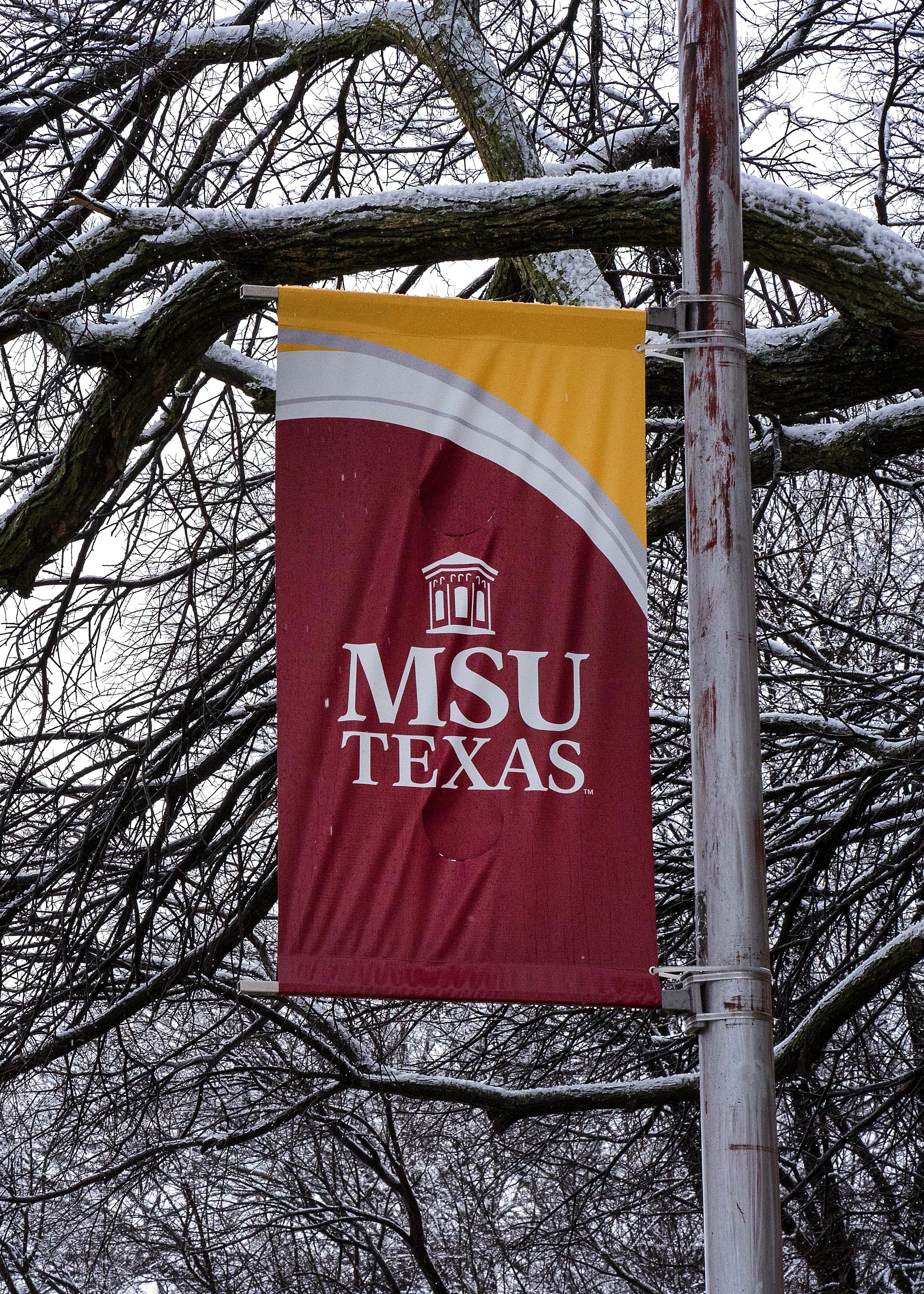 MSU Texas Pole Banners