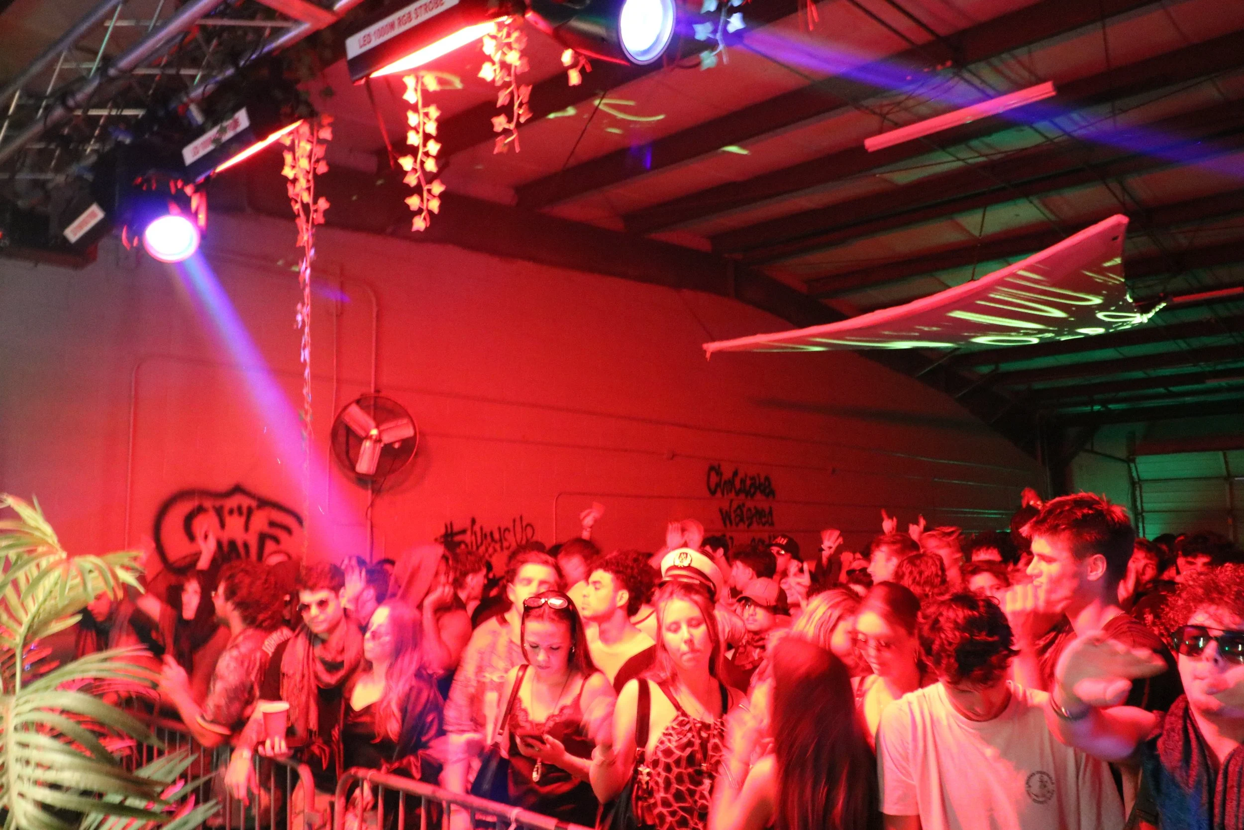 Crowd of young people dancing and socializing in a dimly lit indoor venue with colorful red, purple, and green lights, graffiti on the wall, and decorative hanging foliage.