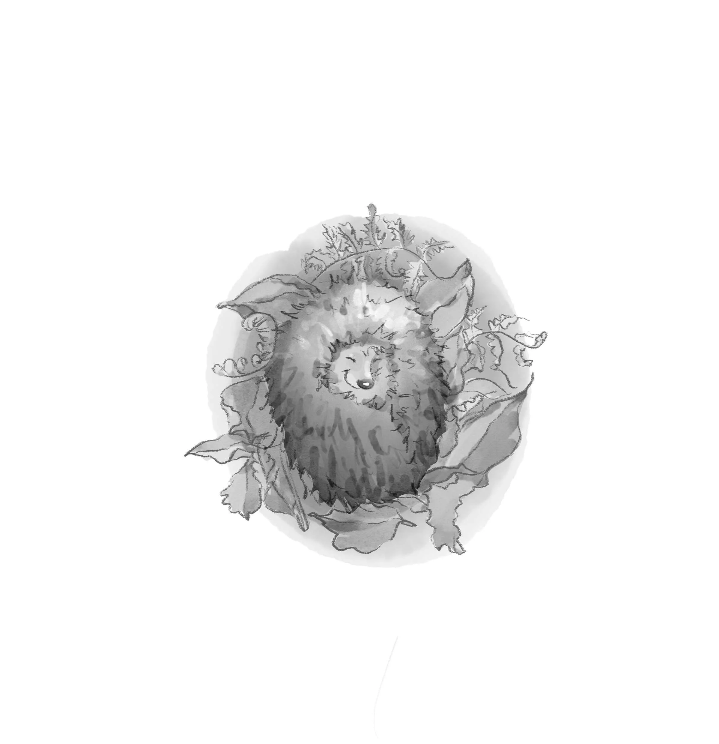 A grayscale illustration of a hedgehog curled up amidst leaves and foliage.