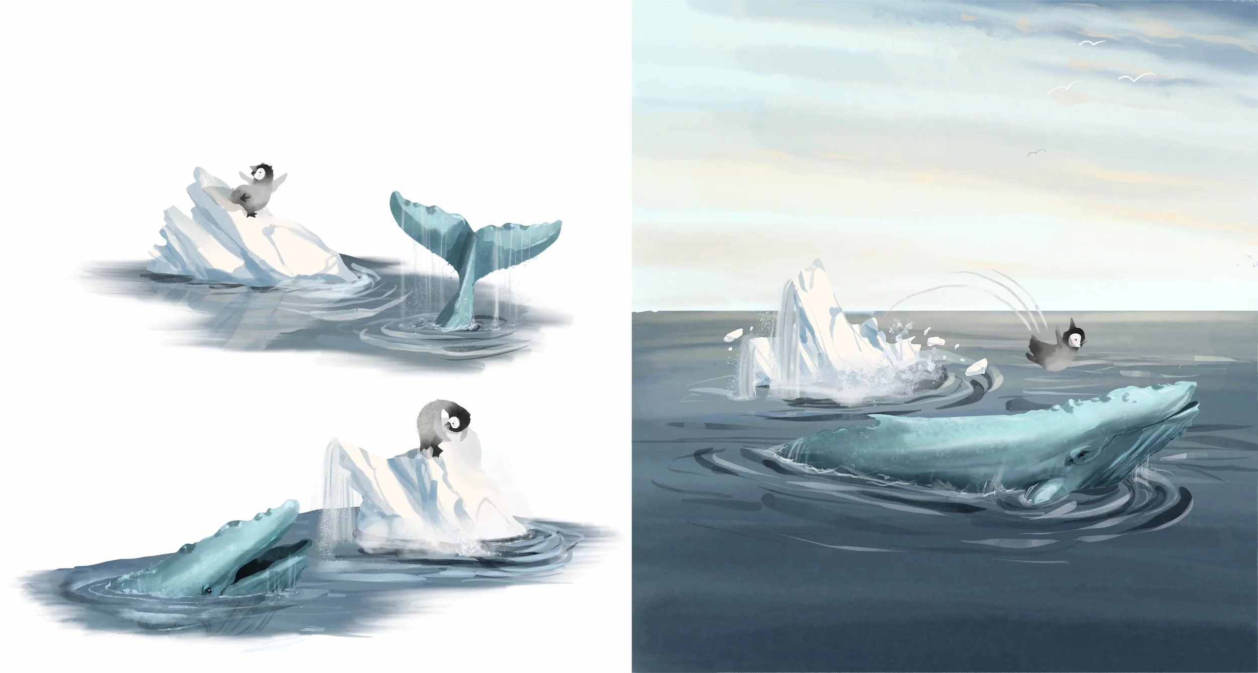 Left side: a cartoon whale breaches the water with a puff of water, a bird perches on an ice floe, a seal is climbing onto the ice, and another whale's tail is visible. Right side: a realistic whale surfaces with water splashing around it, a bird fli