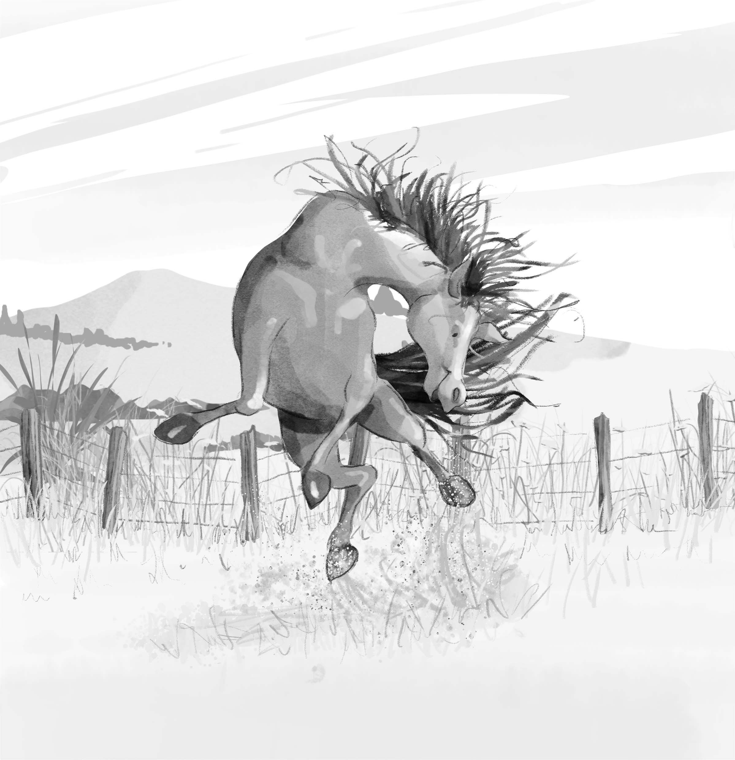 A sketch of a horse rearing up on its hind legs in a field, with mountains in the background and a fence in the foreground.