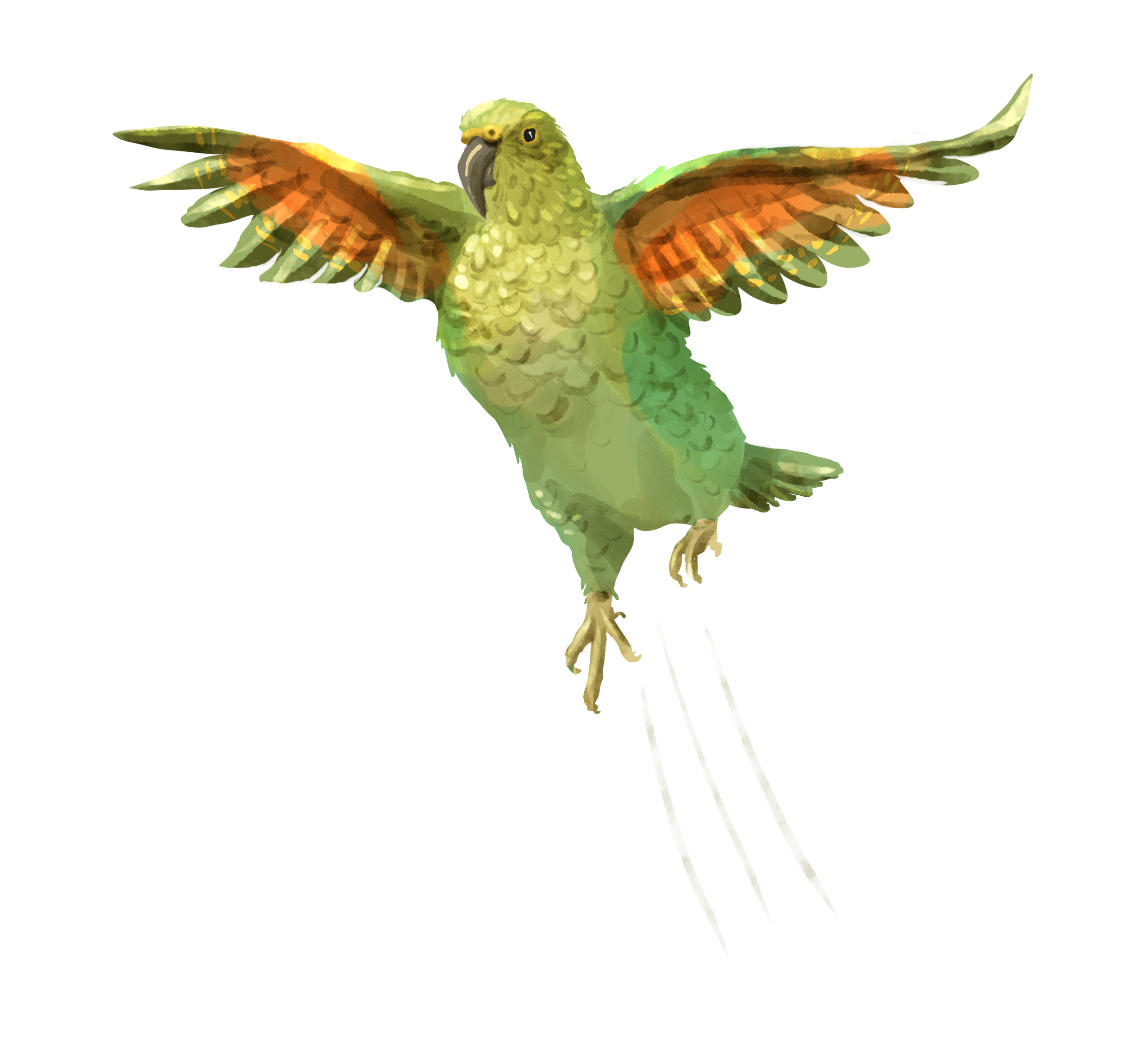 Illustration of a frilled-neck lizard with its head and upper body extending out of a blue and beige box.