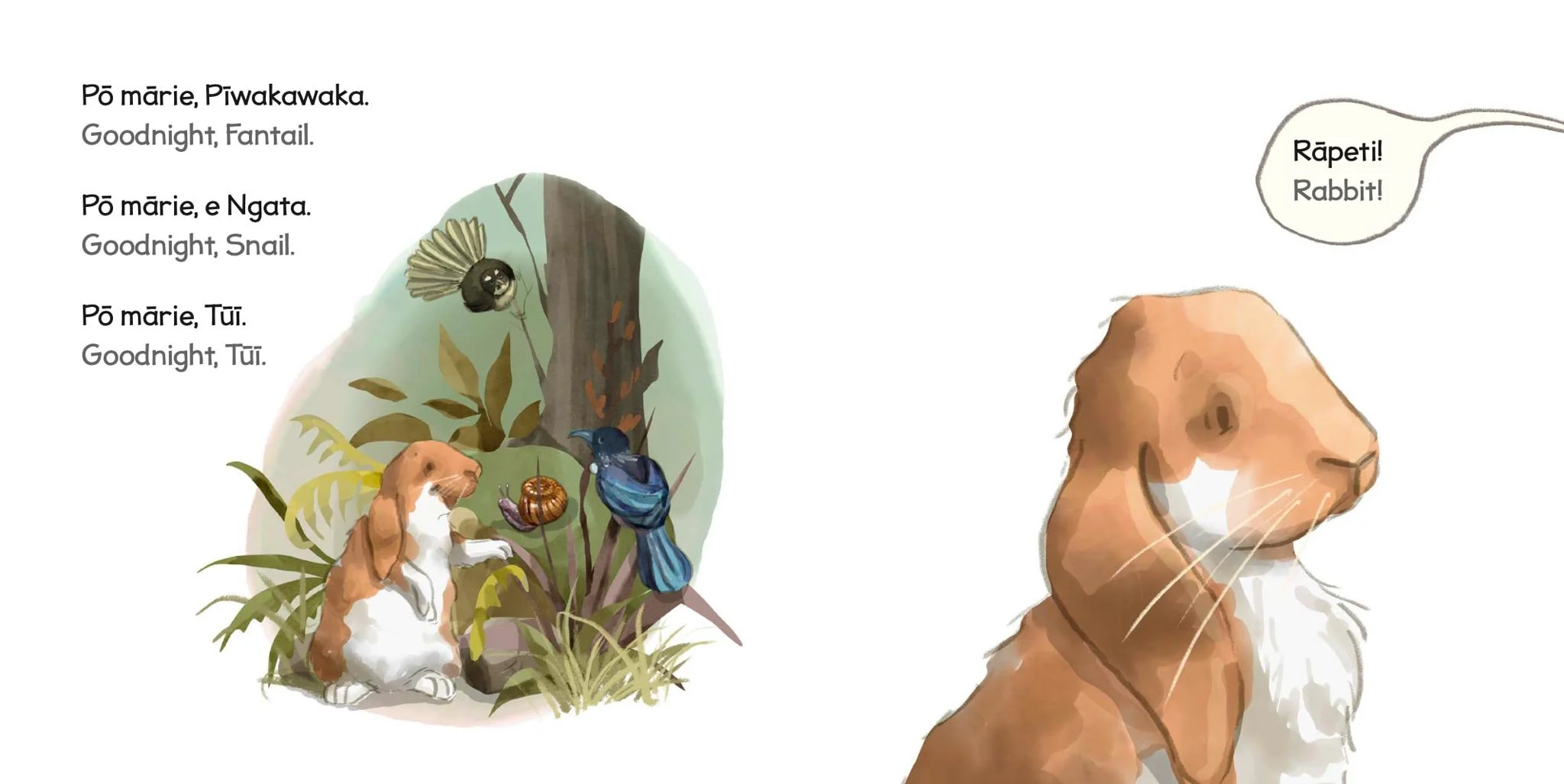 An illustrated children's page in a book featuring a collage of woodland animals. On the left, a snail on a leaf, a blue bird, and a insect are depicted. On the right, a close-up of a lion's face with a speech bubble saying, "Rabbit!" in both English