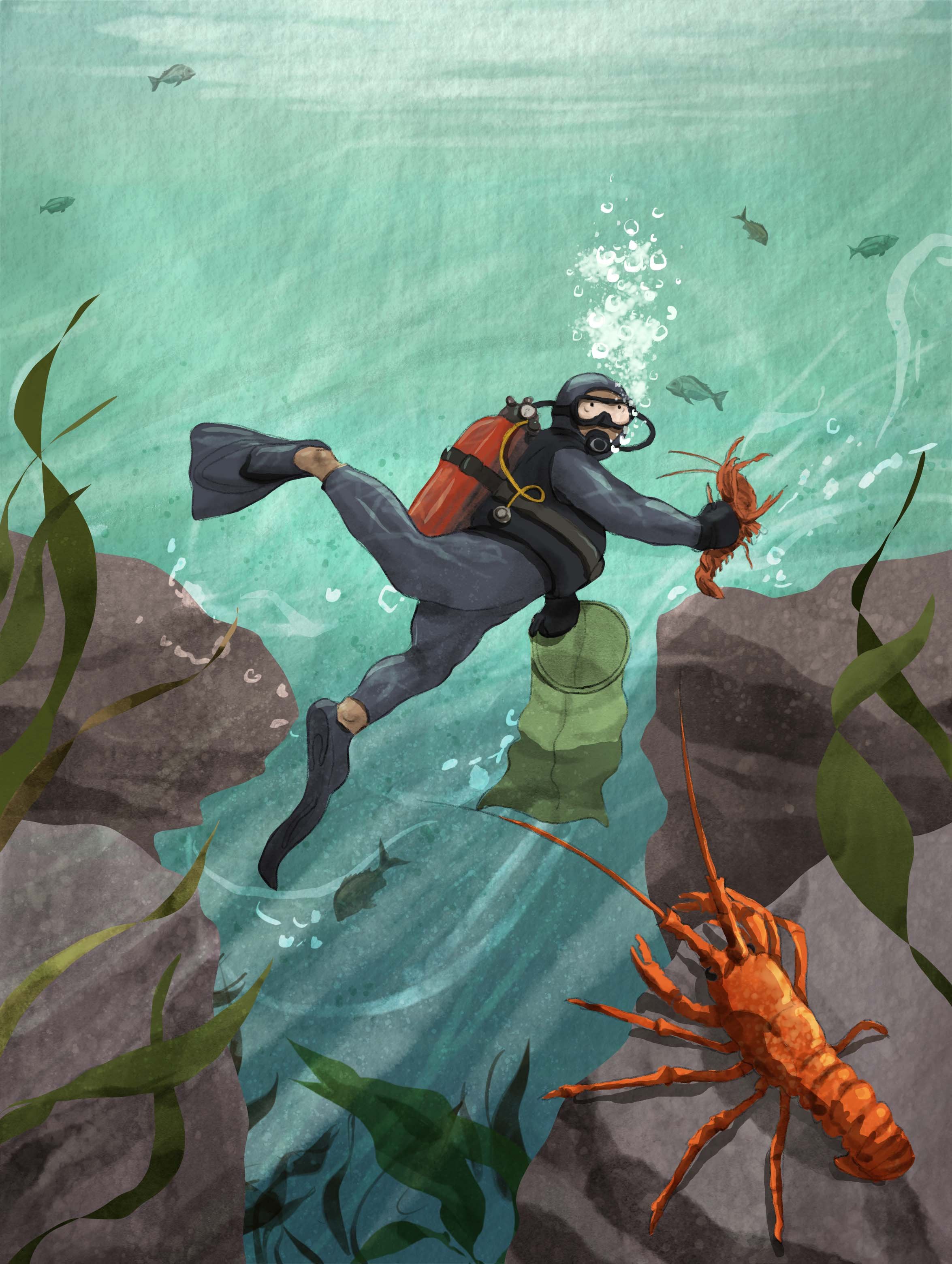 Illustration of a scuba diver underwater near rocks, holding a lobster. Other small fish swim in the background, and seaweed grows along the rocks.