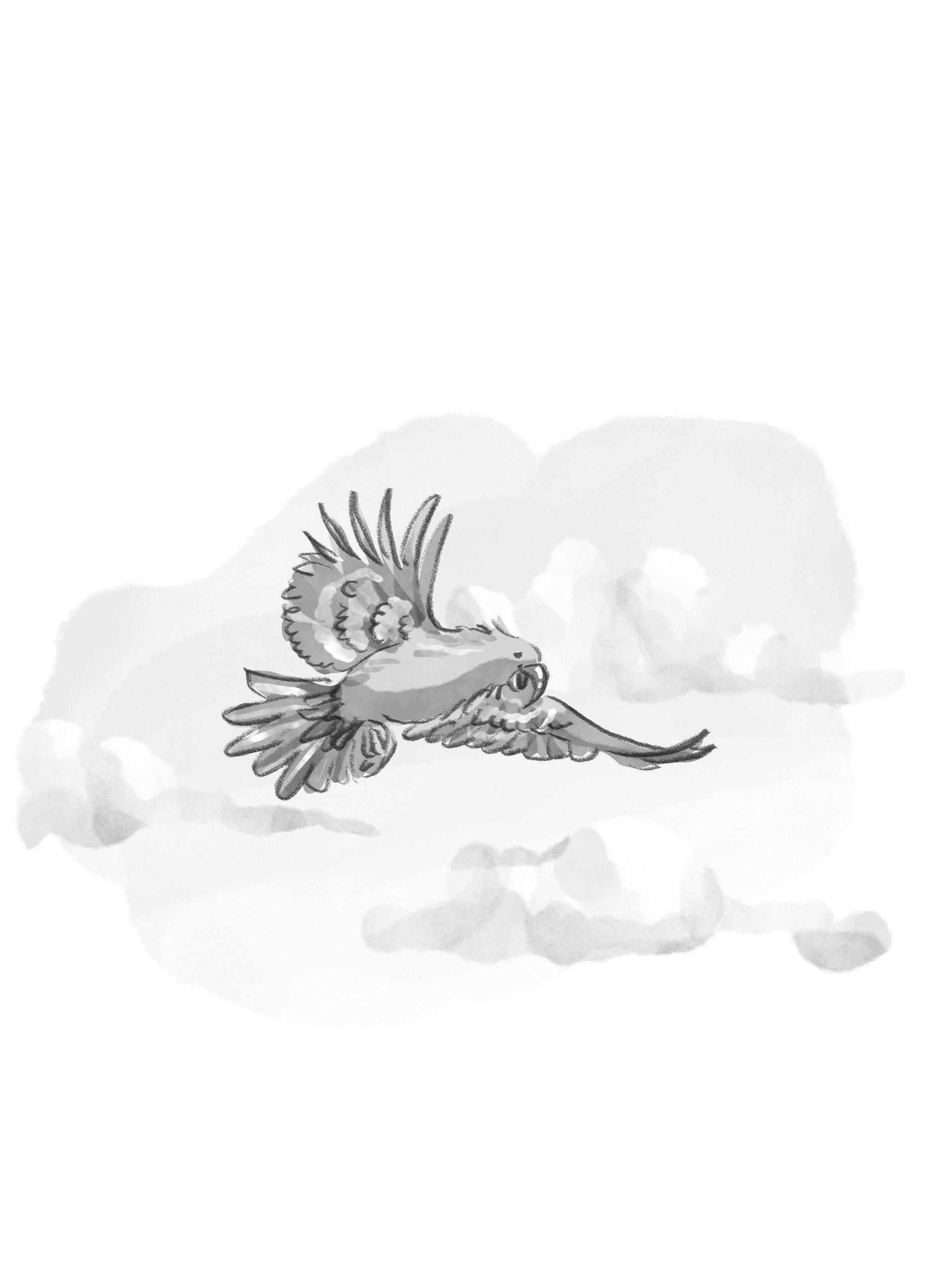 A black and white drawing of a bird flying through the sky with clouds in the background.