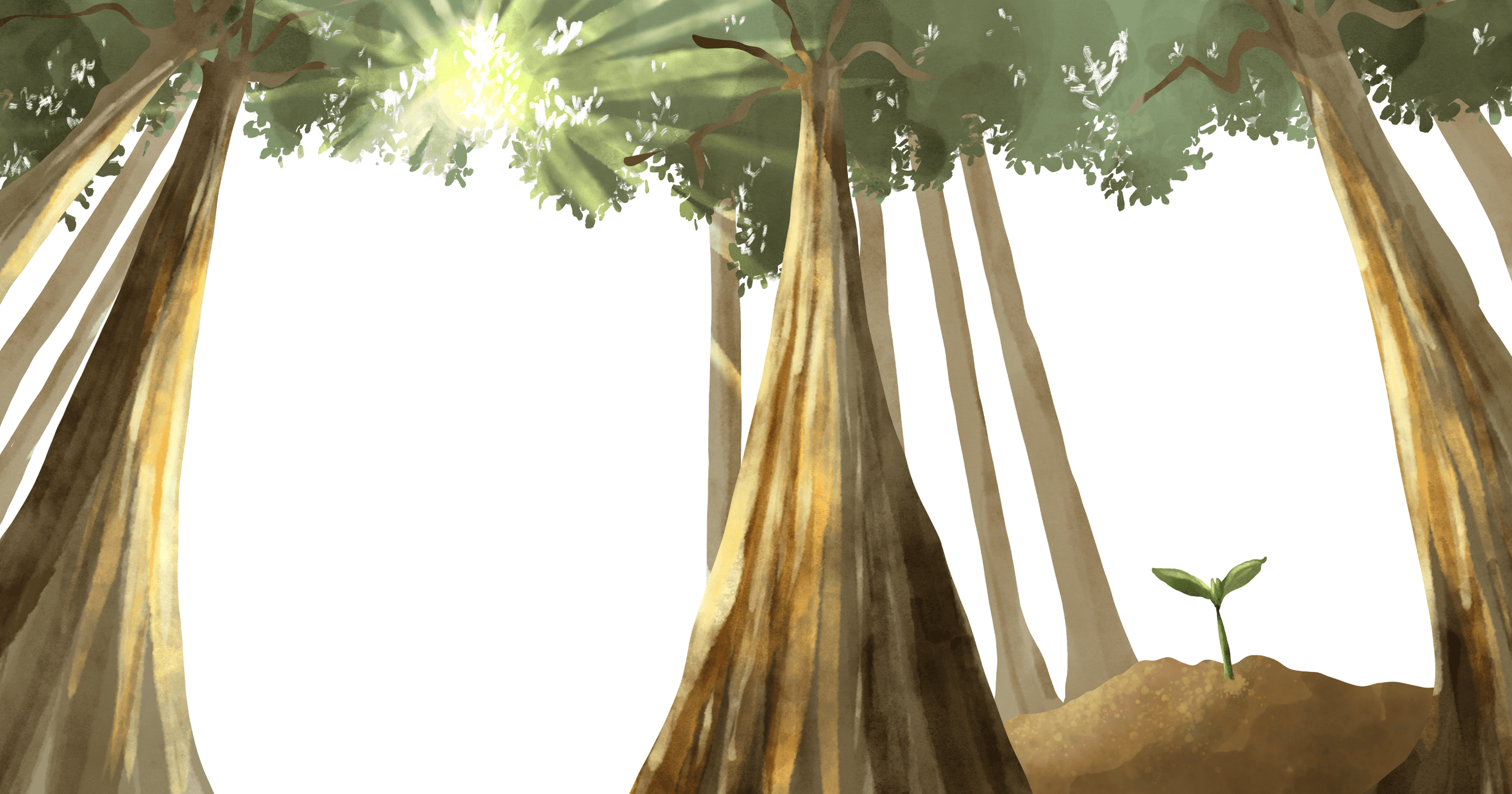 Tiny Sapling