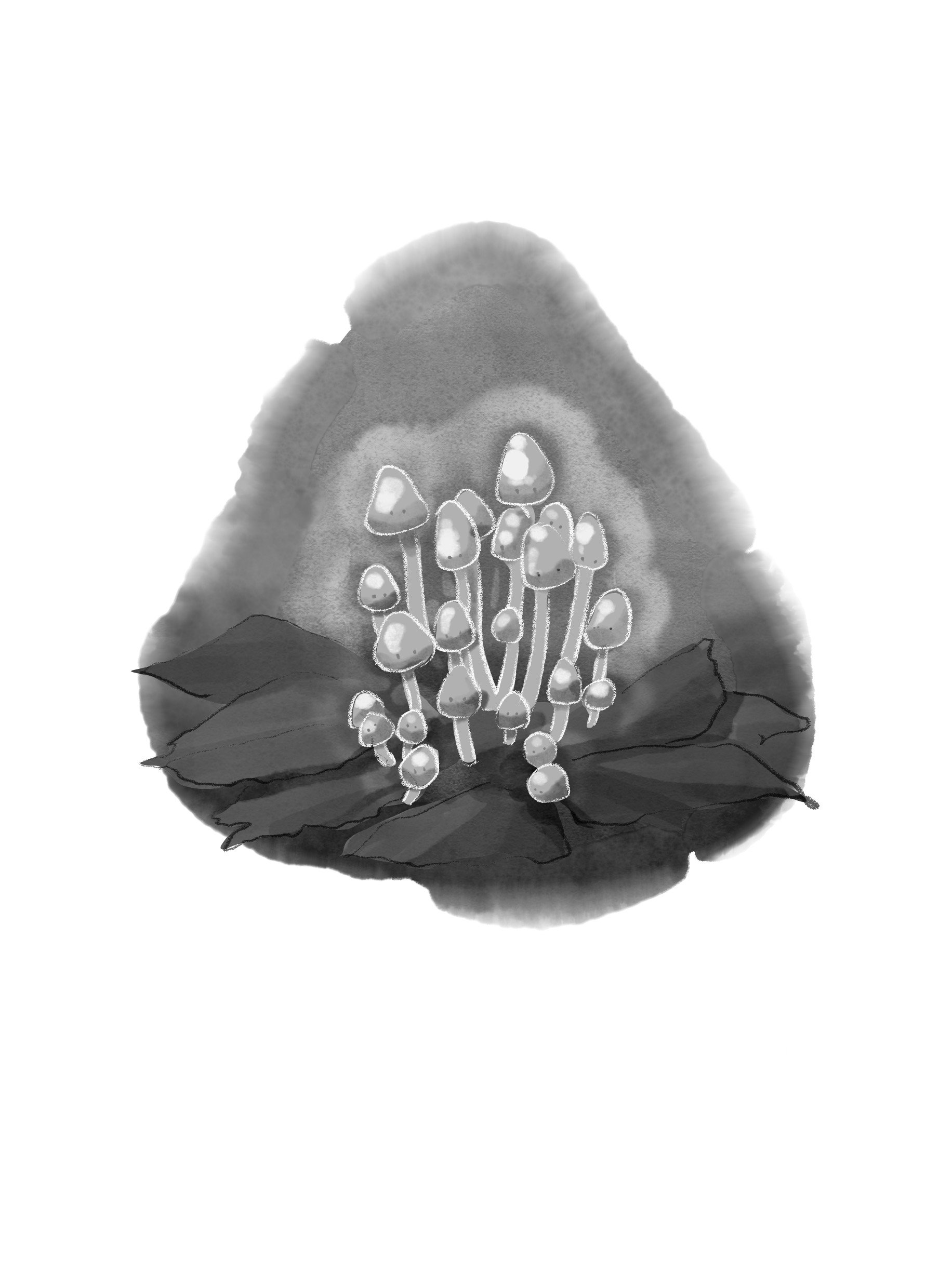 Black and white illustration of a cluster of small mushrooms growing on a leaf with a large rounded background.