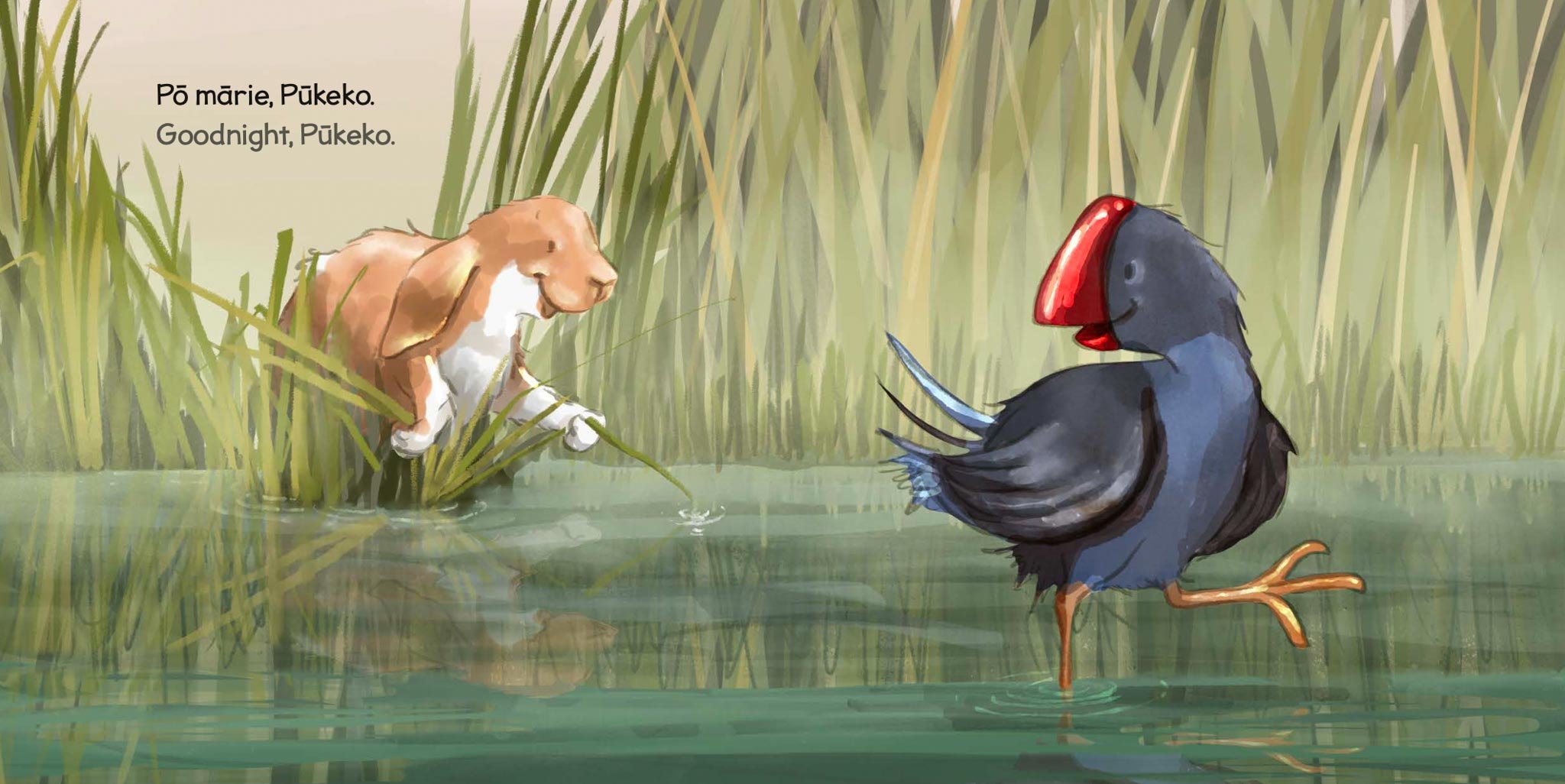 A rabbit and a bird standing in a marshy area with tall grass, with a text overlay that says 'Goodbye, Pūkeko'.