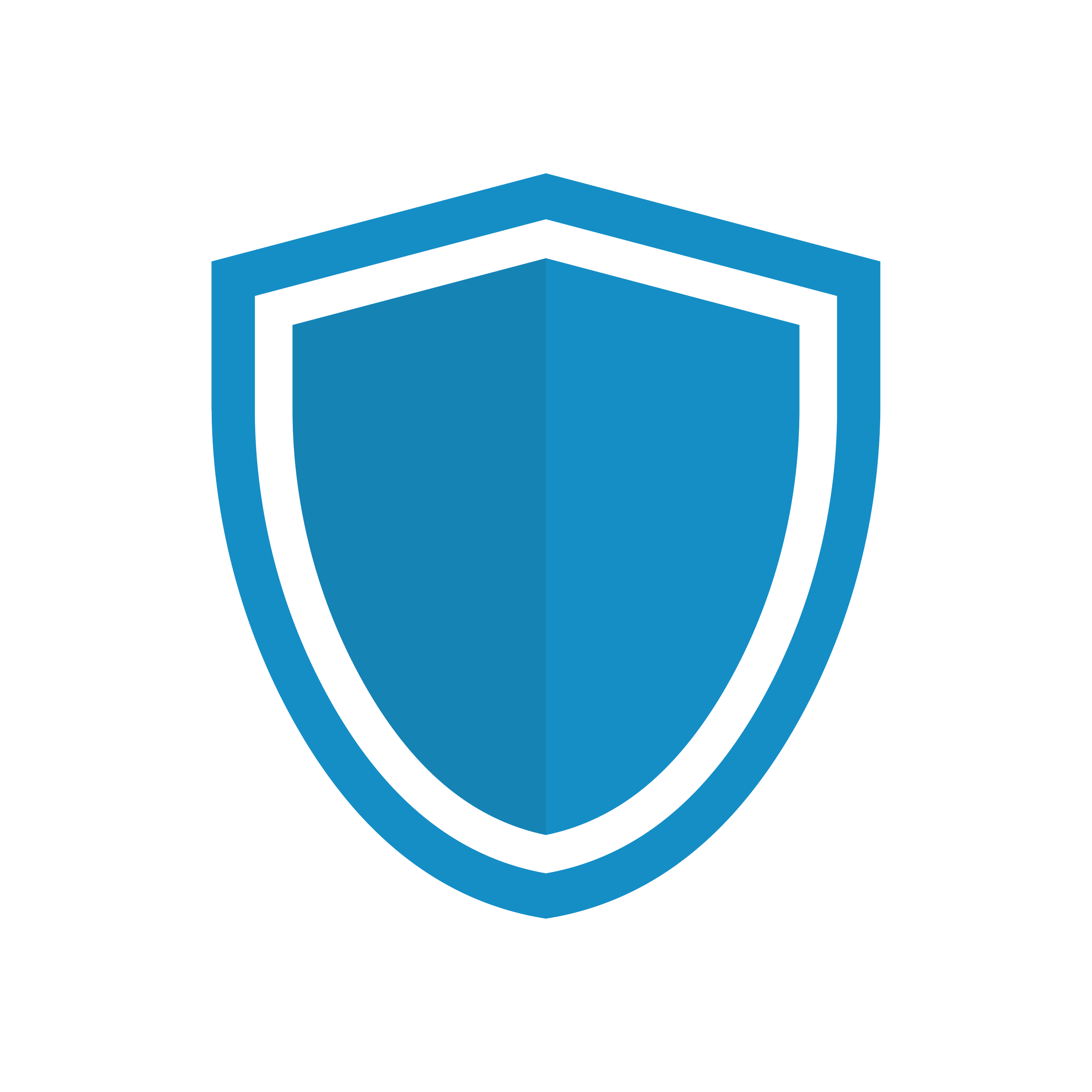 Cybersecurity & Protection