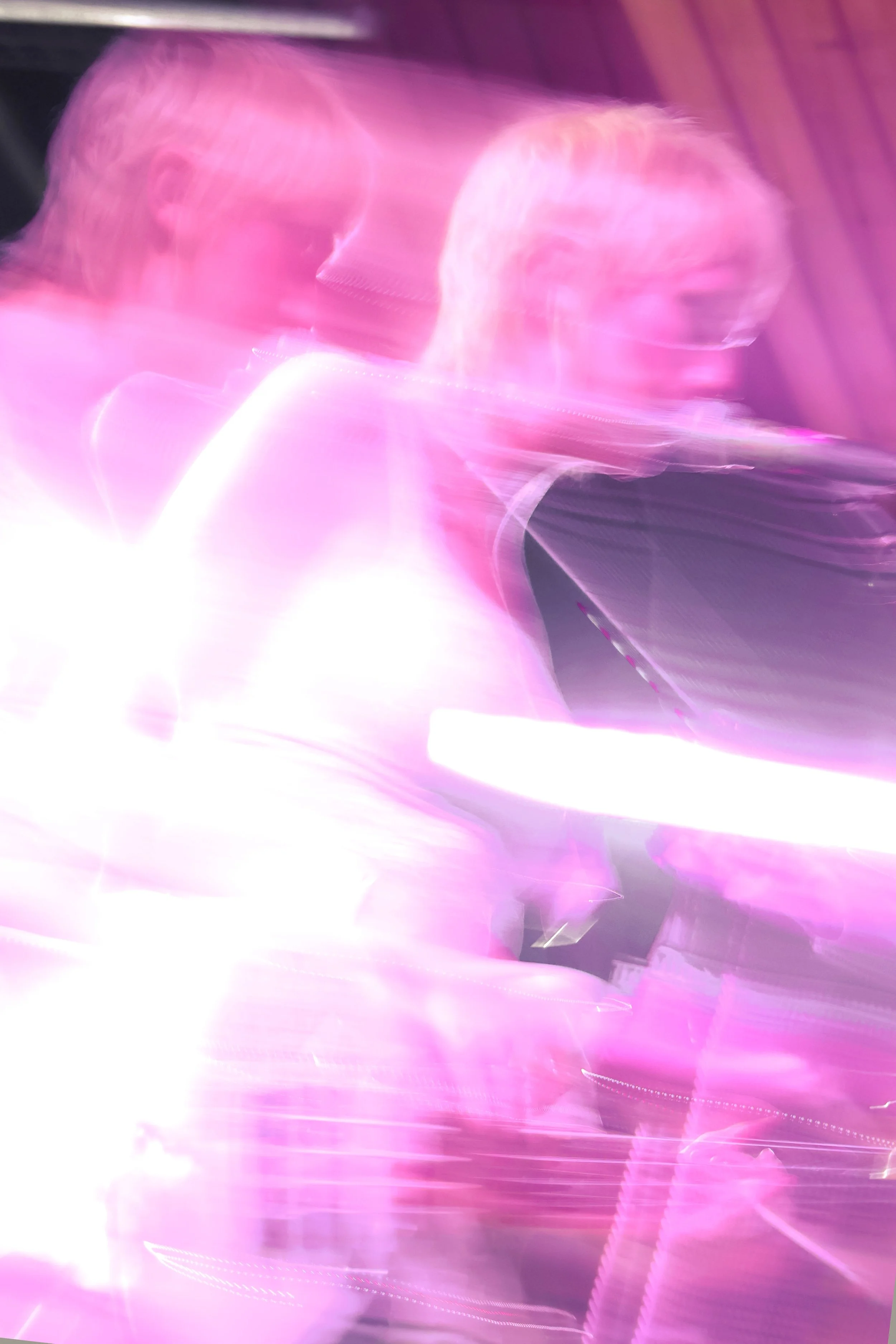 ARL_feeblelittlehorse481.jpg