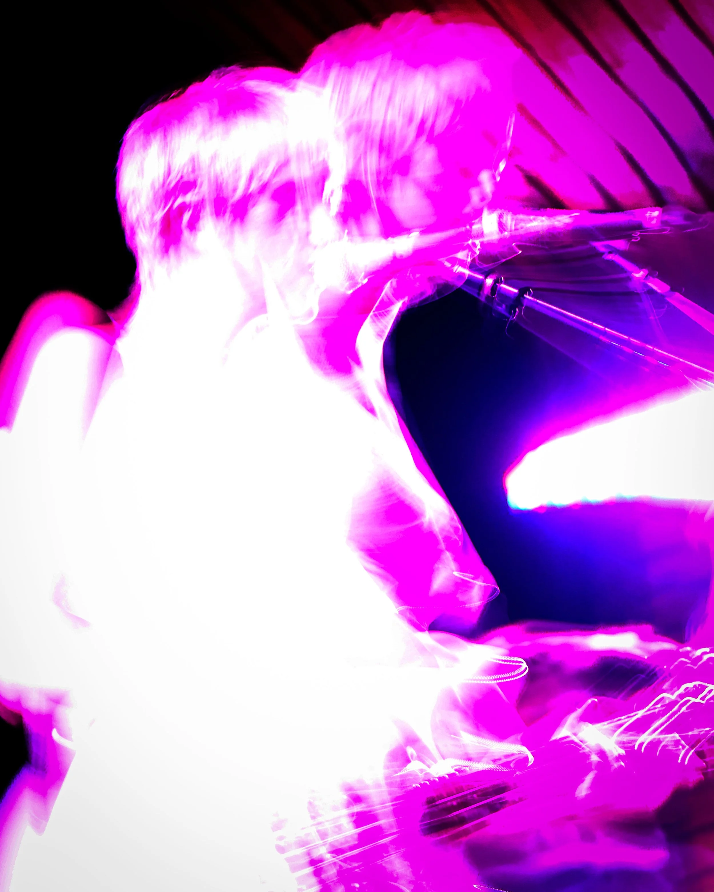 ARL_feeblelittlehorse500.jpg