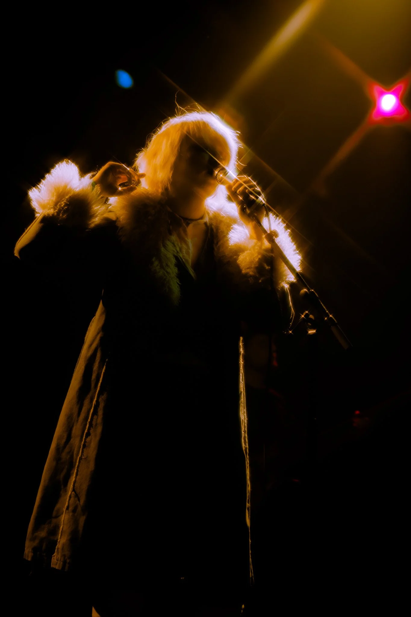 DSC02114.jpg