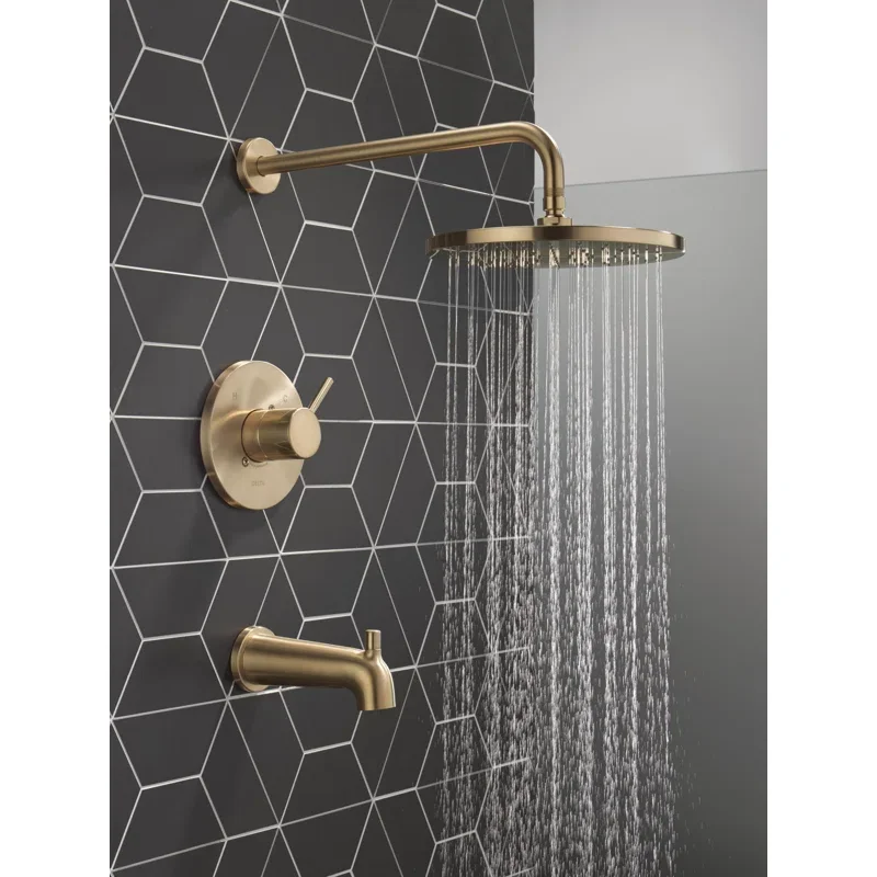 Shower Kit Replacement