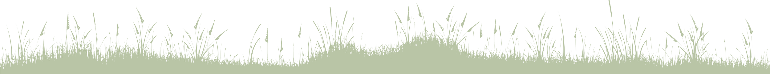 Silhouette of grass and plants on a hill against a black background.