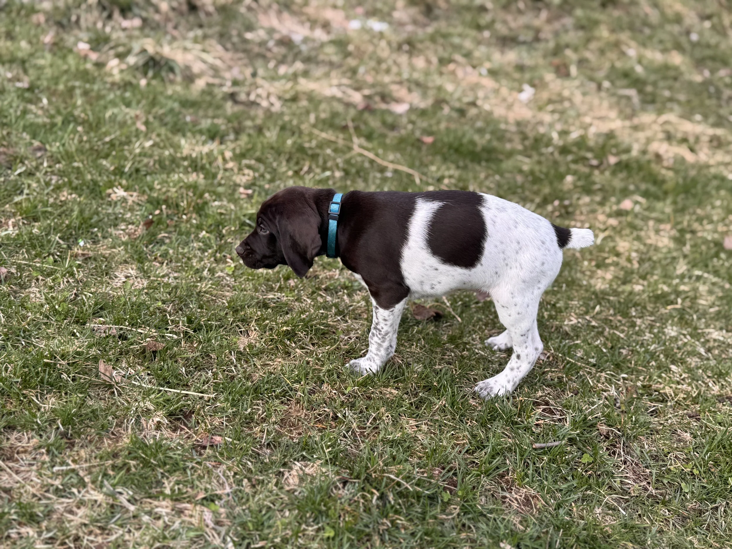 IMG_6917.jpeg