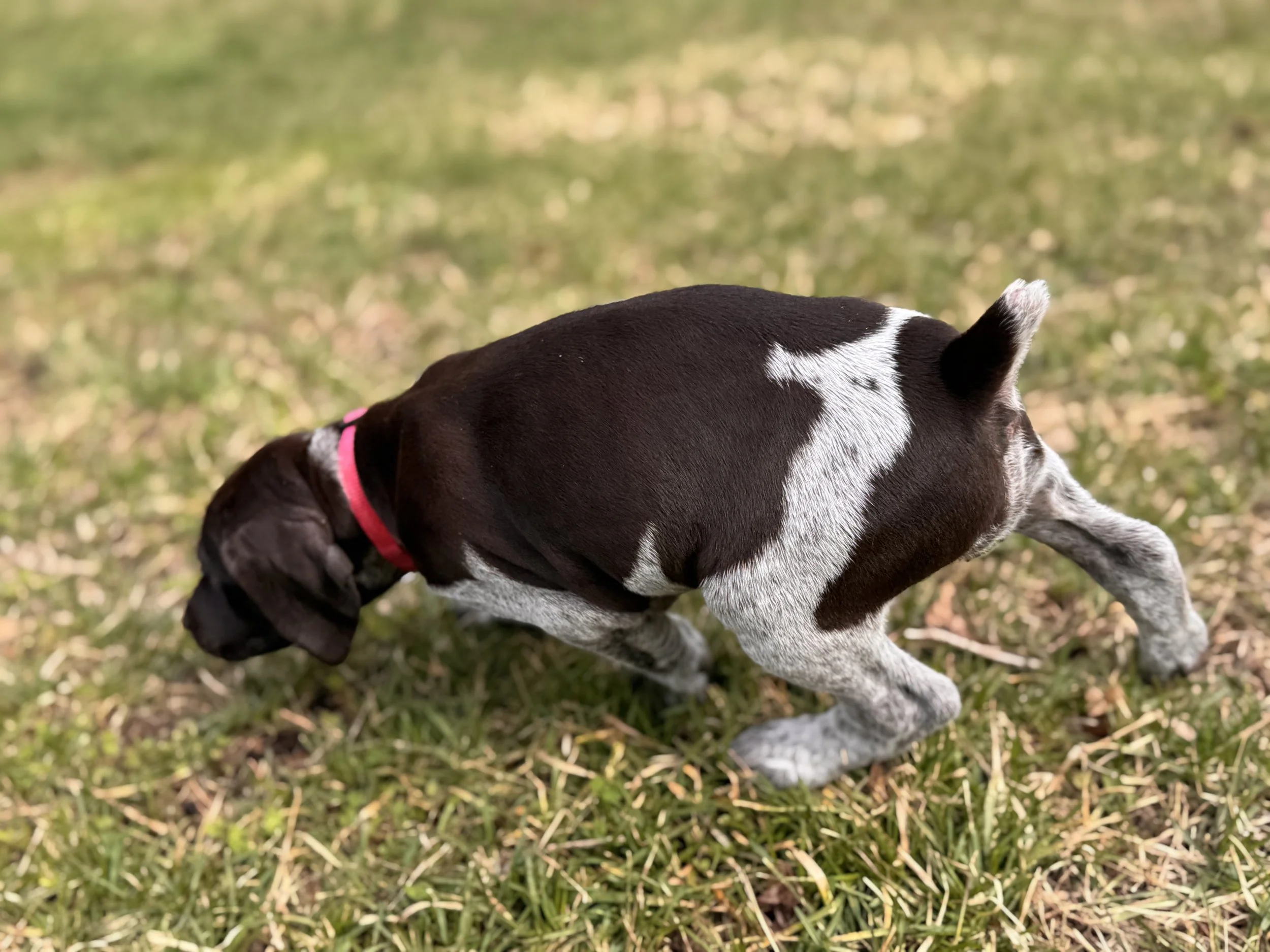 IMG_6860.jpeg