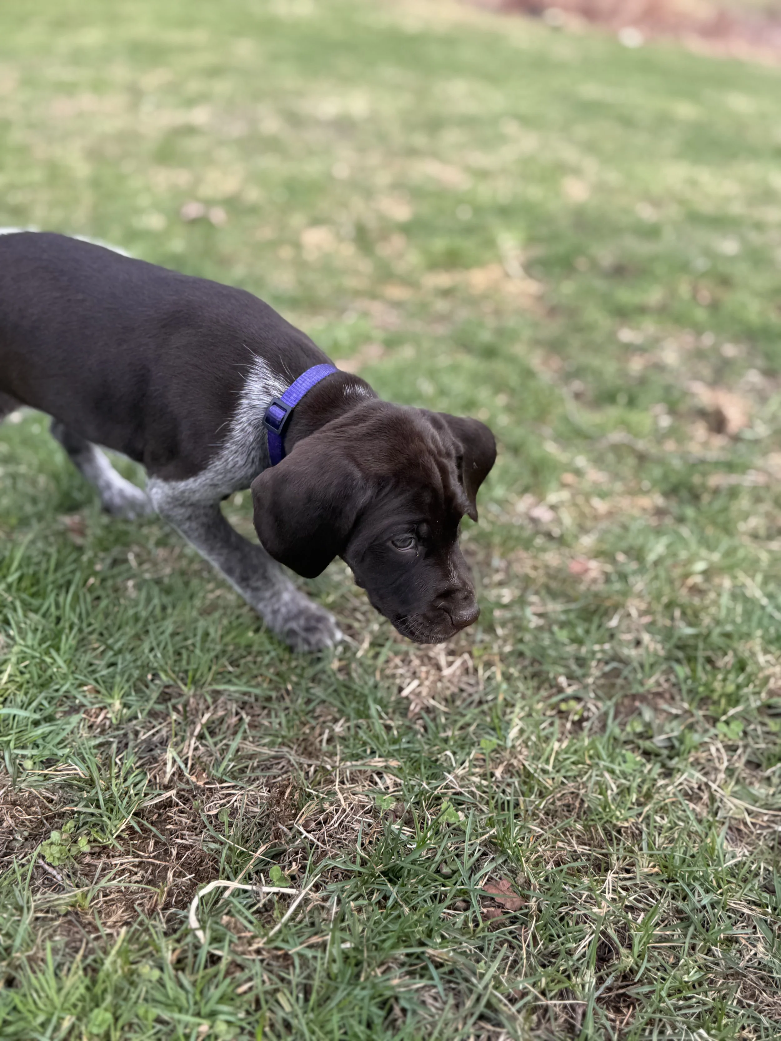 IMG_6875.jpeg