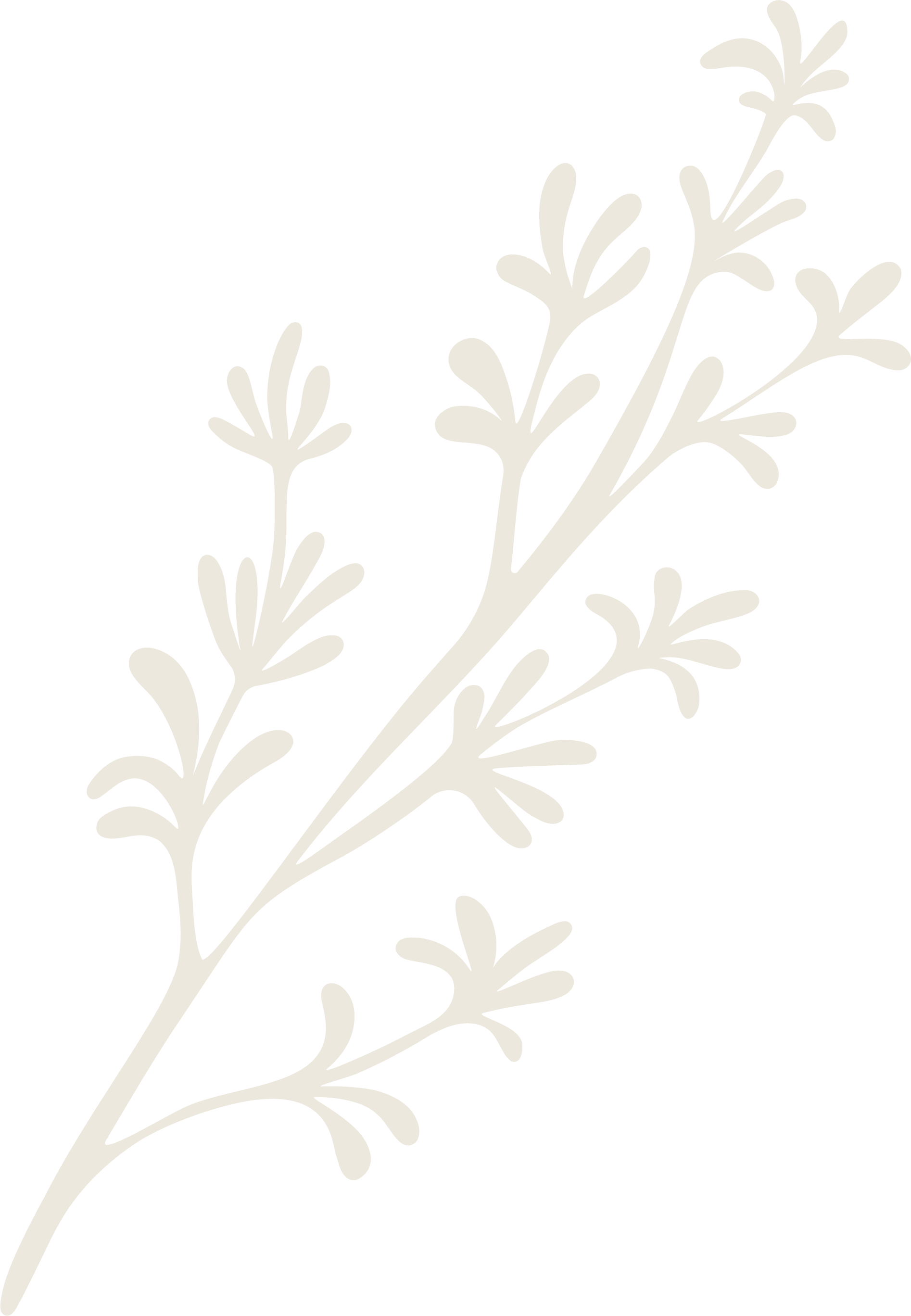 A black background with a white, stylized sprig of herb, resembling thyme or rosemary.