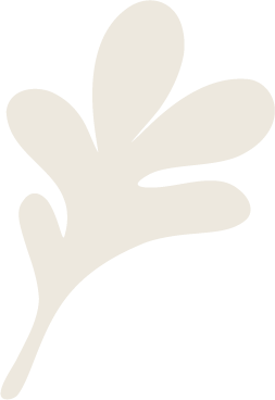 A simple illustration of a white leaf on a black background.