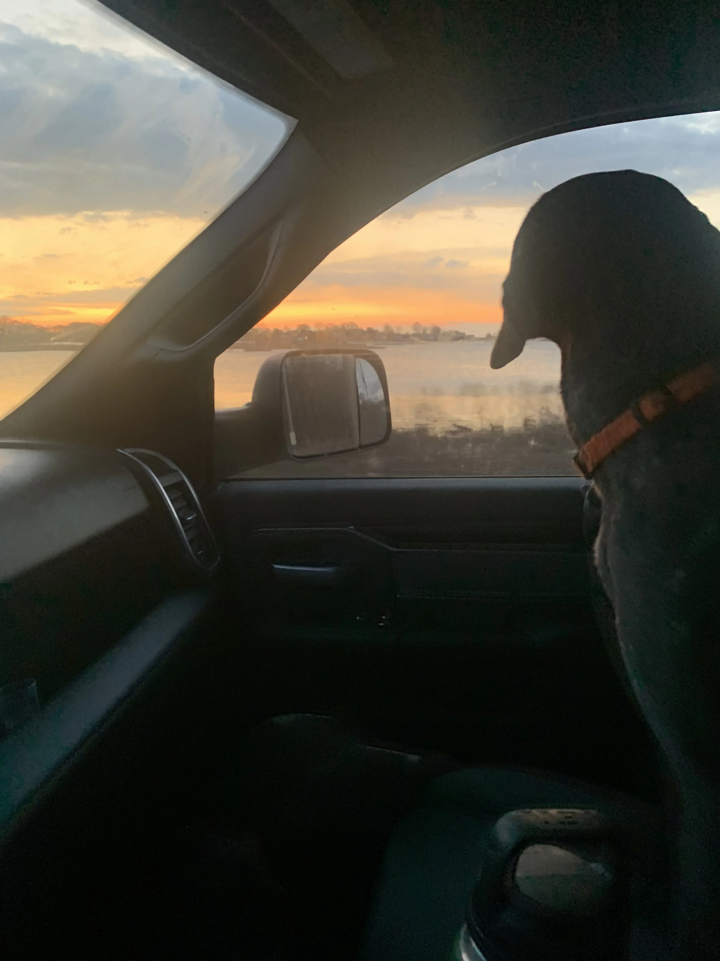 The photo shows the interior of a vehicle with a view of a sunset over water through the windshield. A dog wearing a collar is seated in the passenger seat, looking out the window.